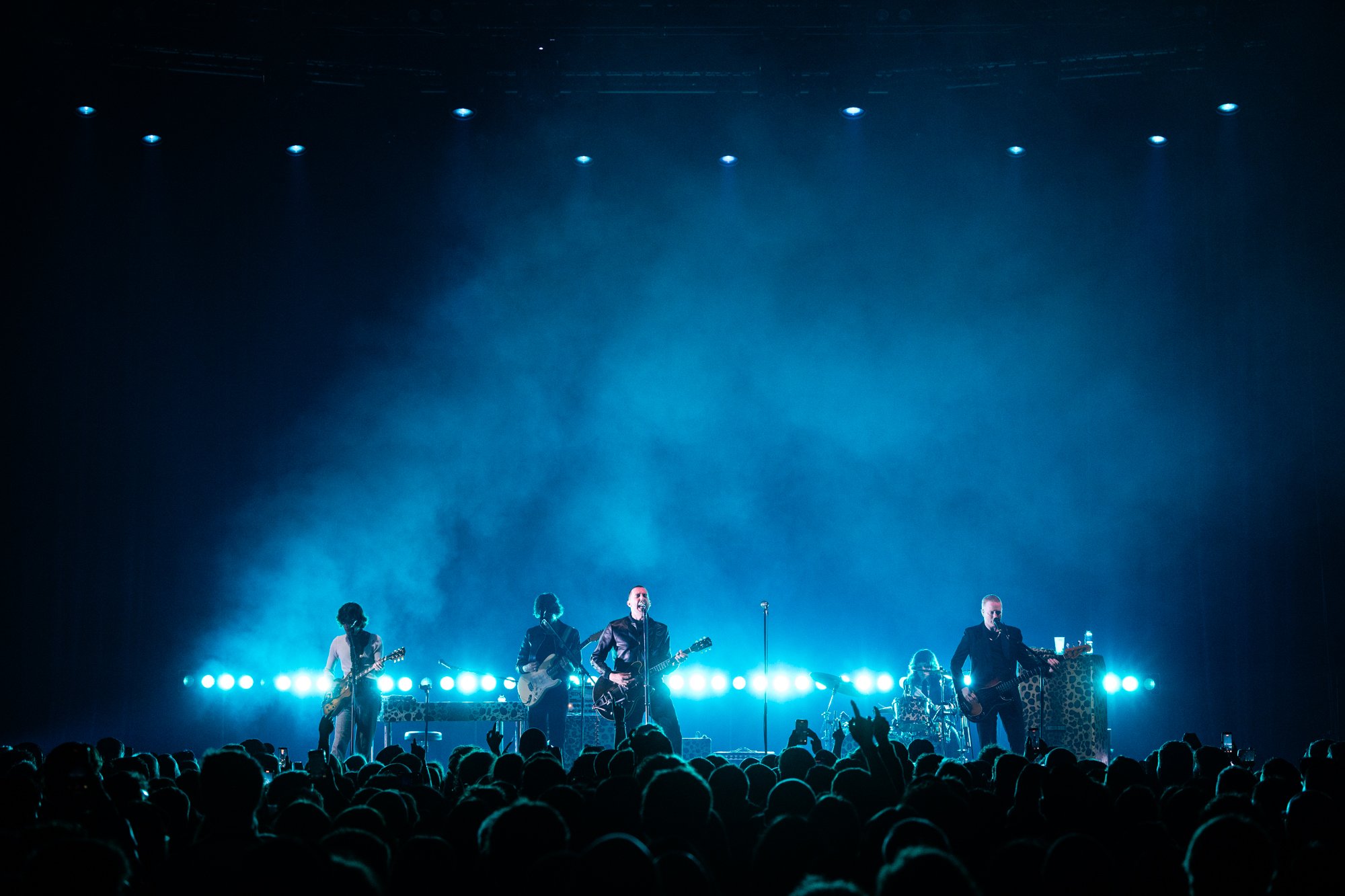 Corinne Cumming 00933.jpg