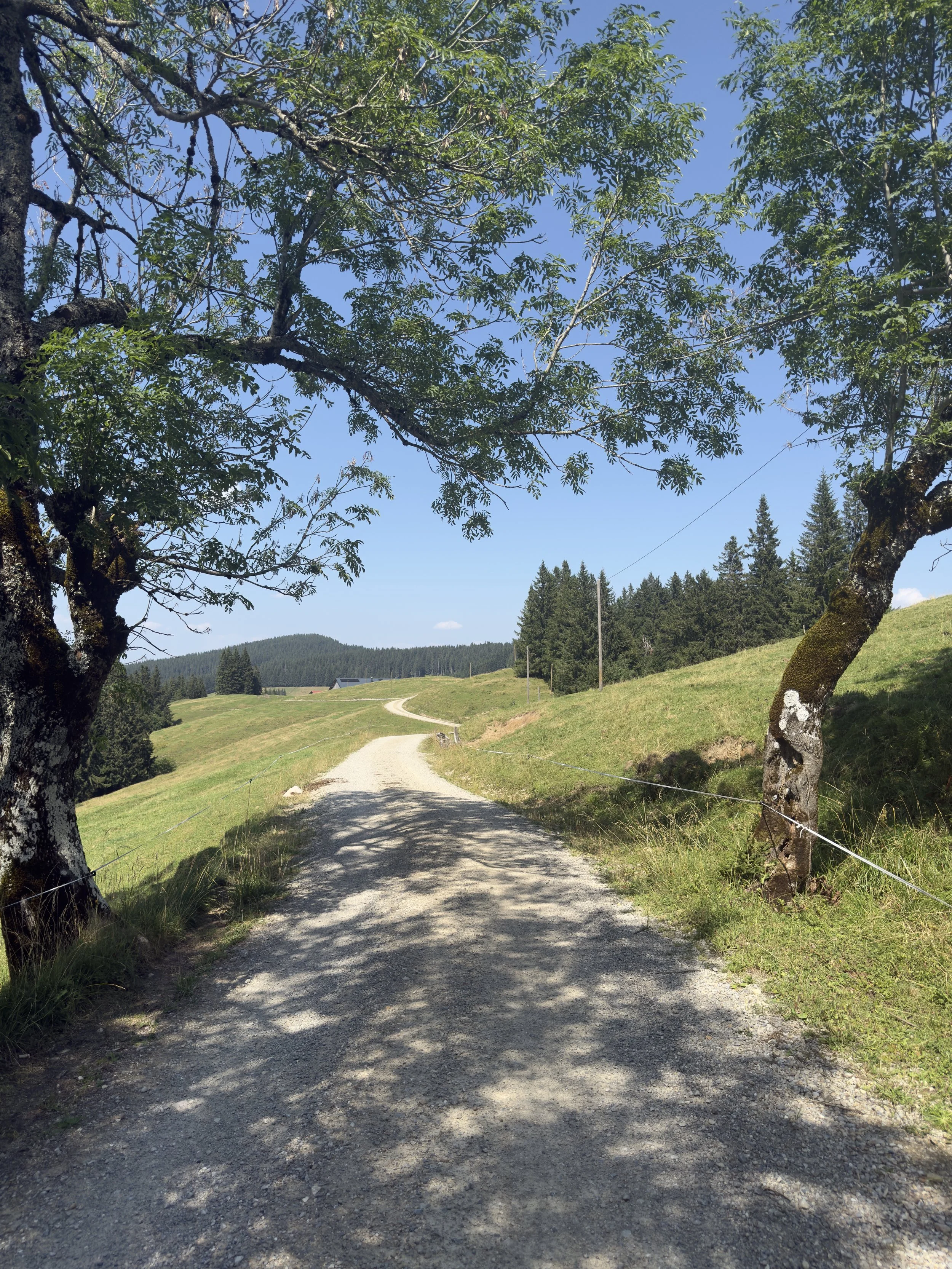 IMG_4377 2 Kopie.jpeg