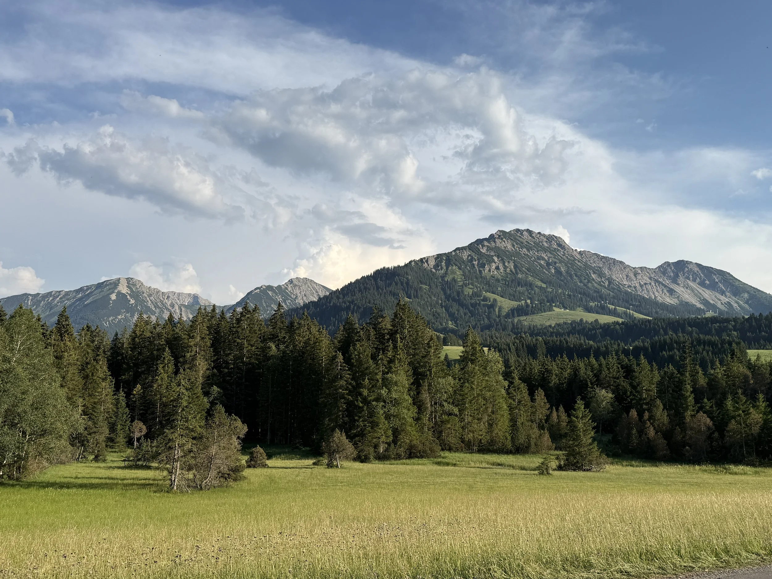 IMG_2484.JPG
