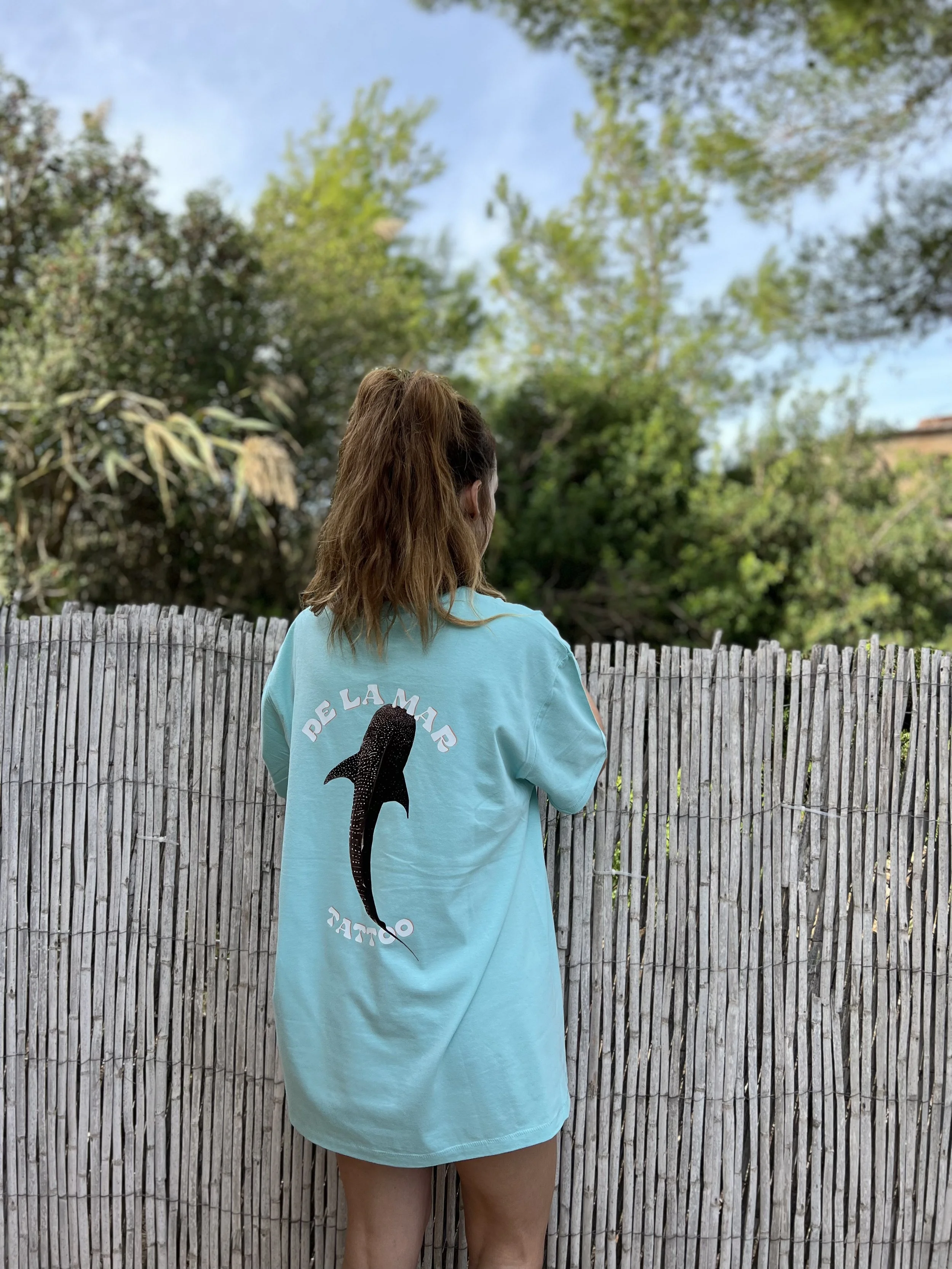 T Whale Shark 1.1.jpg