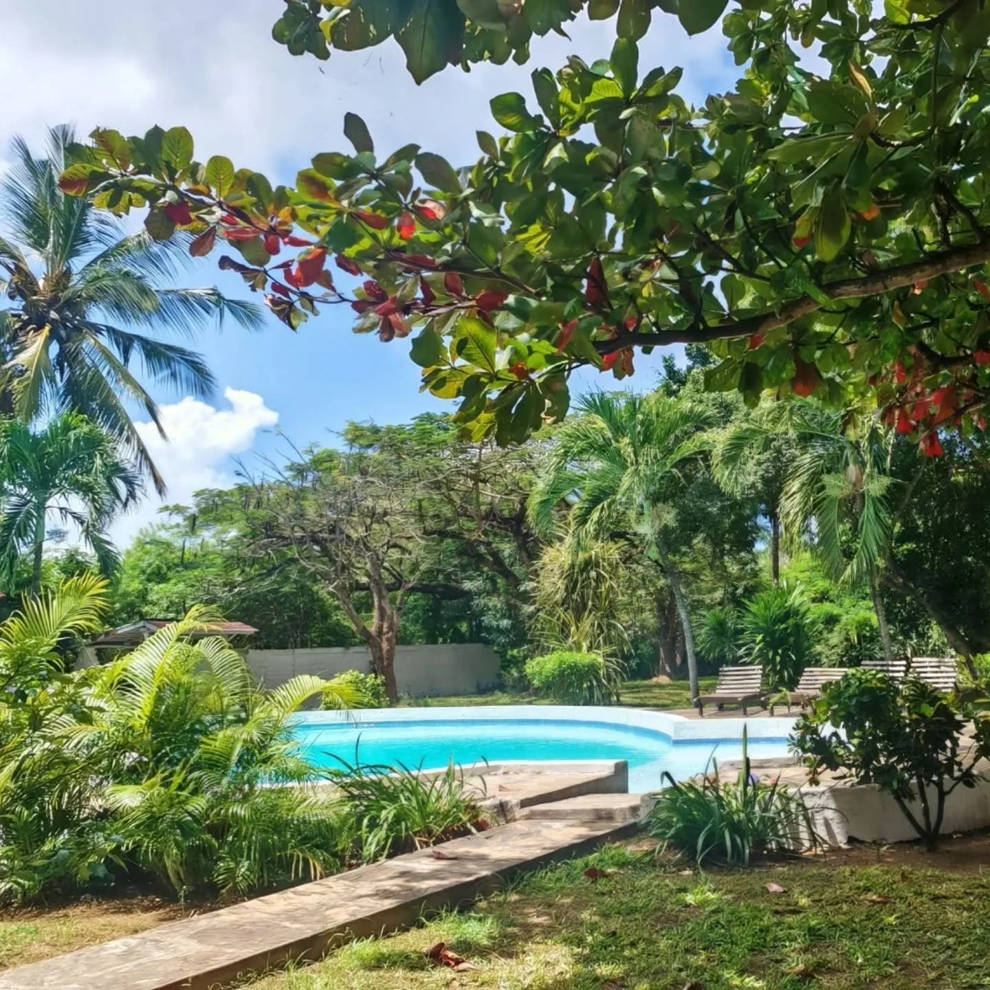 Autumn &amp; Winter at Nyumba Malaika - Malindi🌴☀️

While Europe welcomes the chilly season, Malindi offers you warm sunshine, crystal-clear waters, and the slow rhythm of the Swahili coast.

Nyumba Malaika is your tropical home, a place to recharge