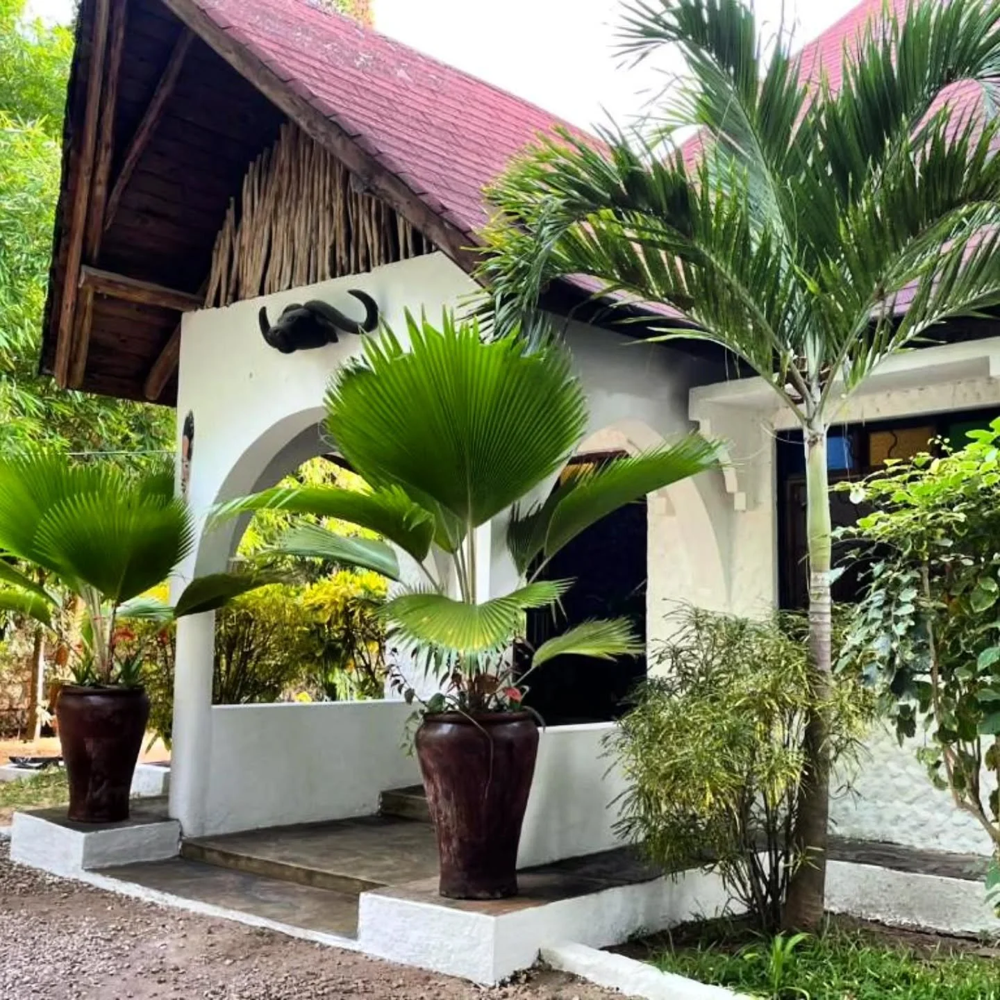 Where nature embraces you, and Africa steals your heart

#NyumbaMalaika 
#nature
#Malindi
#african
#stealsyourheart