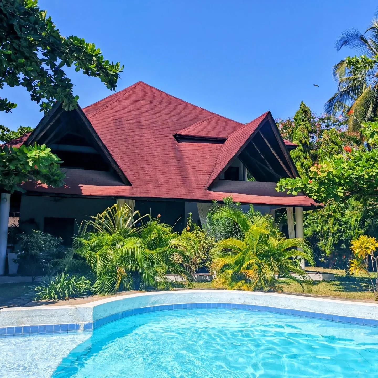 A place where pain stops asking why

#beyondwhy
#intosilence
#withoutwhy
#malaika
#stoppain