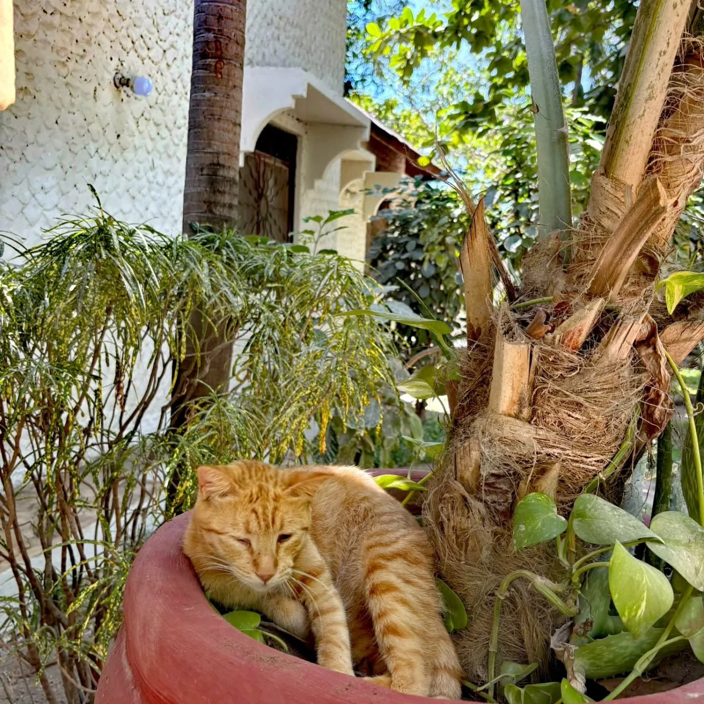 Where time remembers how to breathe

#time
#remembers 
#how
#breathe
#malindi