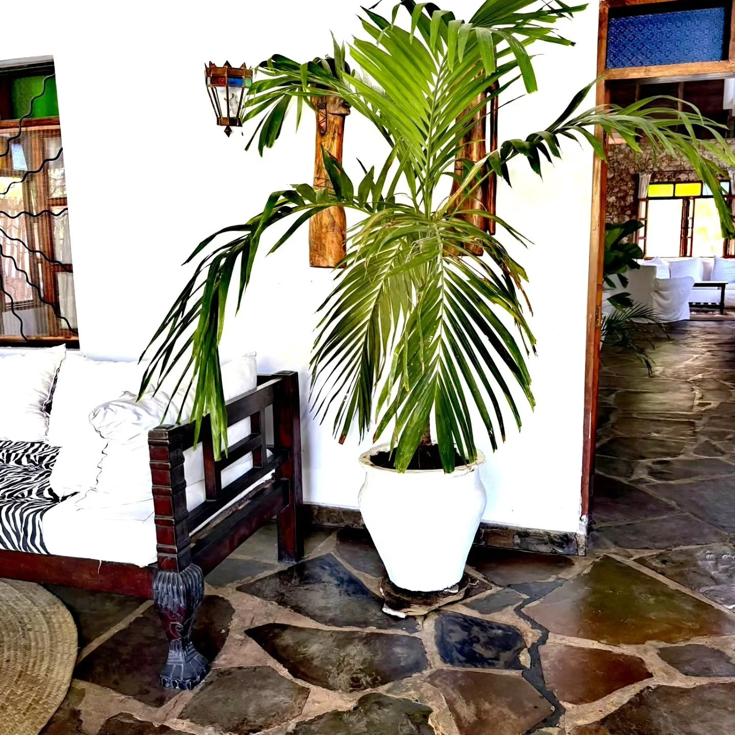 Where angels rest, and paradise feels like home on earth

#love
#paradise 
#home
#malindi