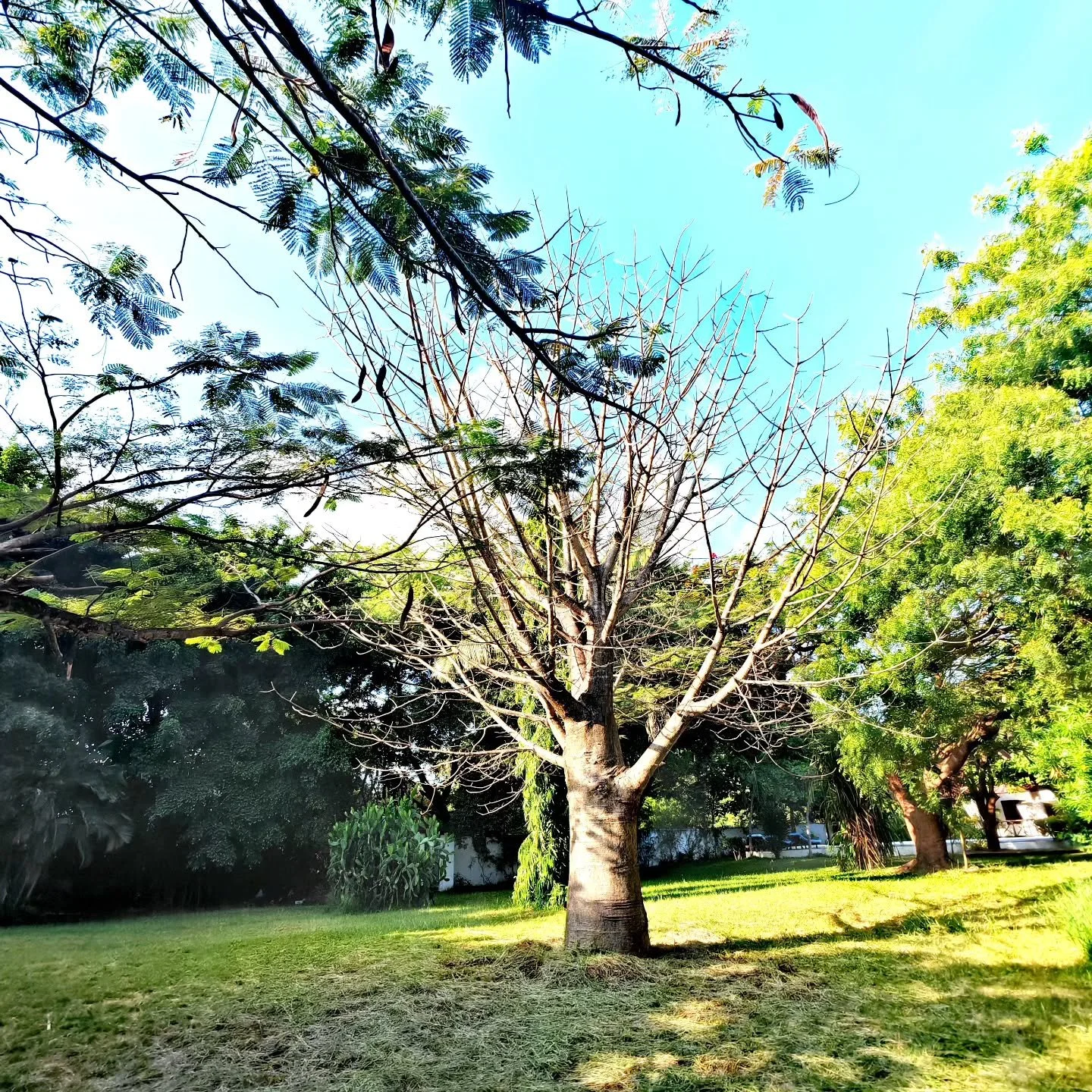 Stop trying to be someone else. Become eternal

#become
#eternal
#malaika
#malindi