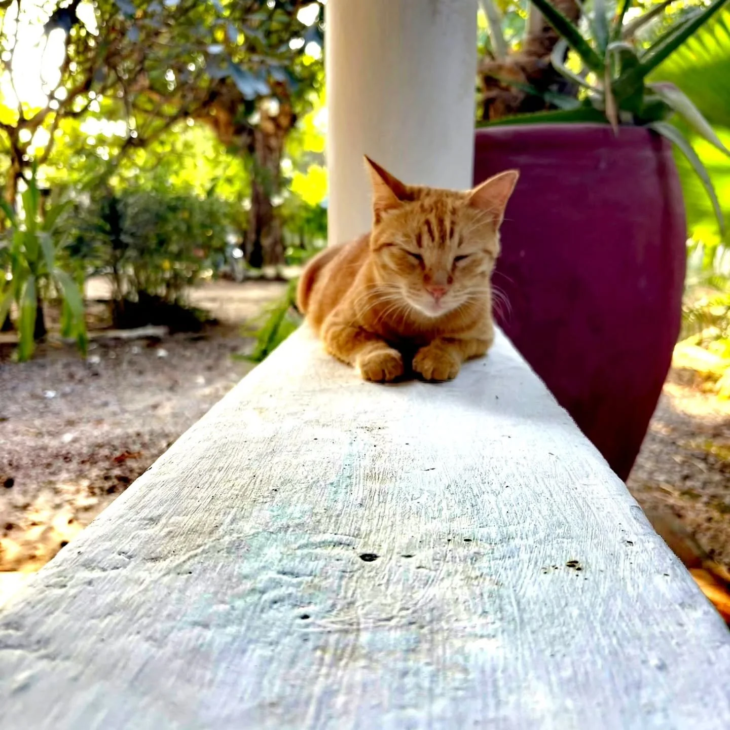 Time to think. Or maybe just to be

#time
#think
#tobe
#malaika