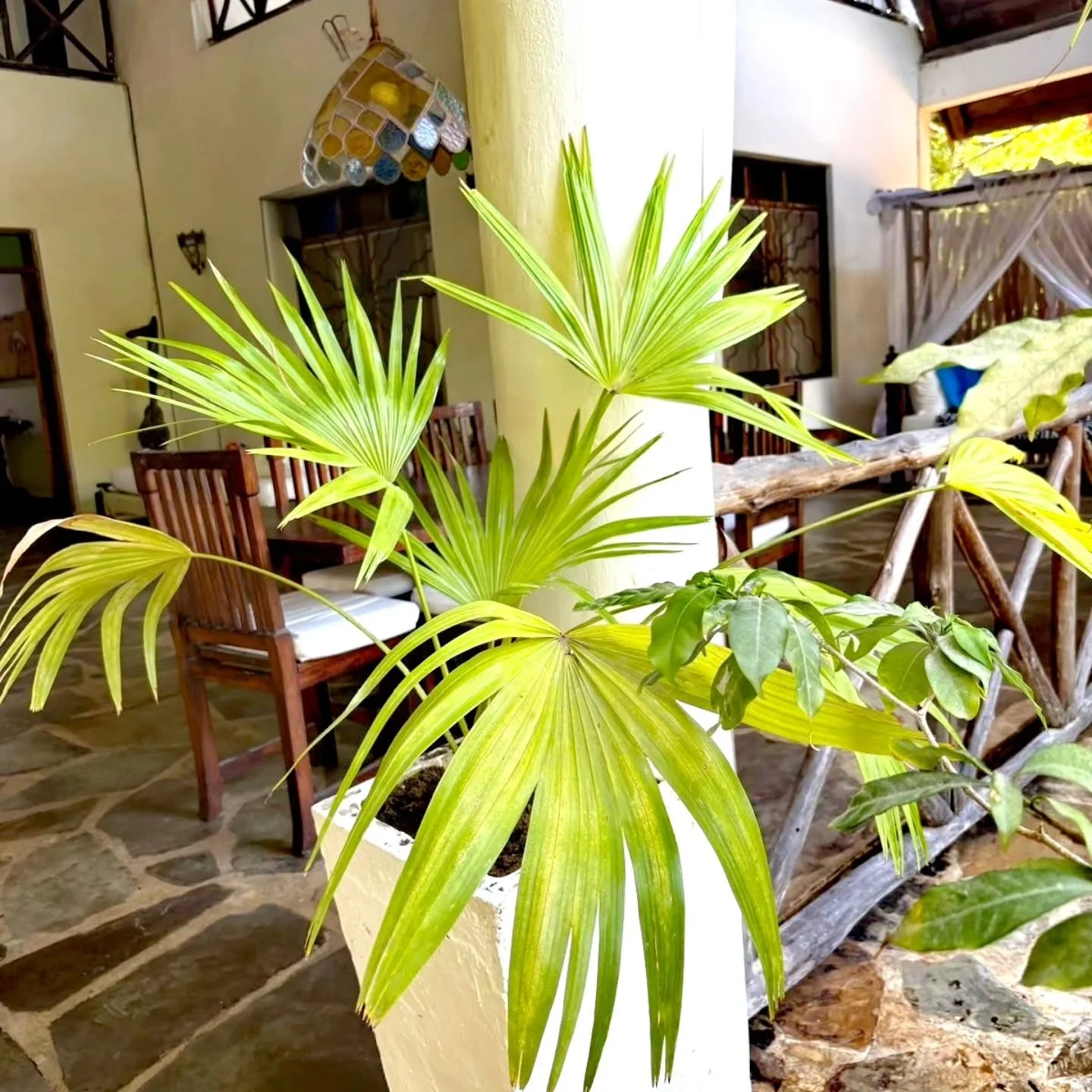 Time softens and the soul feels home

#time
#softens 
#soul
#feelshome 
#malaika