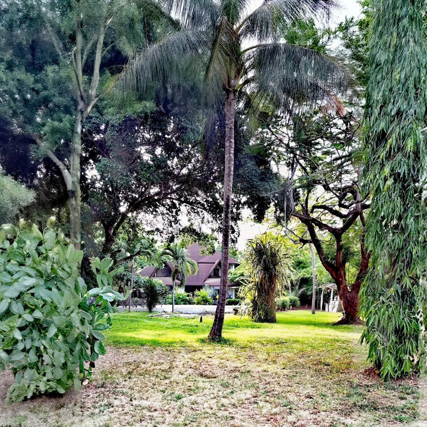 In the flow of thoughts, the soul finds its rhythm

#flow
#thoughts
#soul
#finds
#rhyrhm