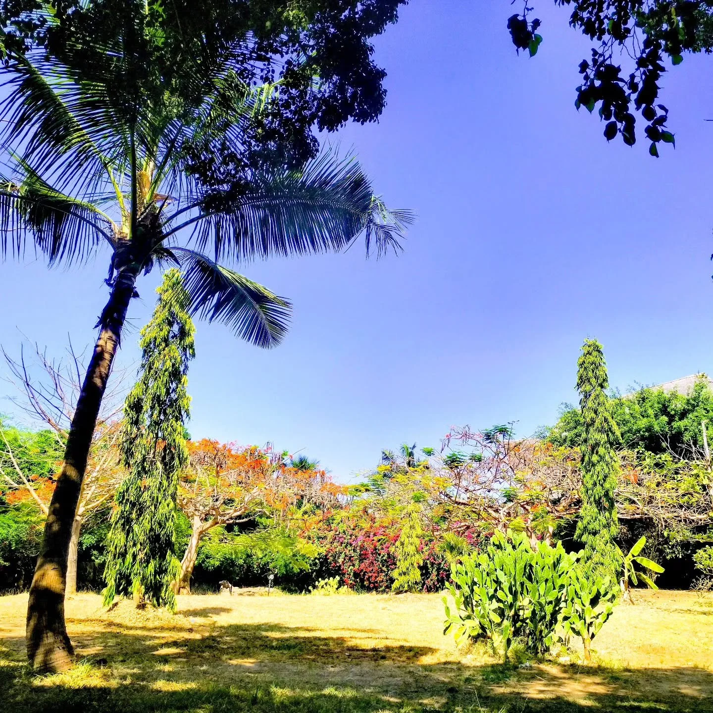 Nature teaches patience. Reflect deeply, act wisely, build what endures

#nature
#patient
#build
#endures
#malaika