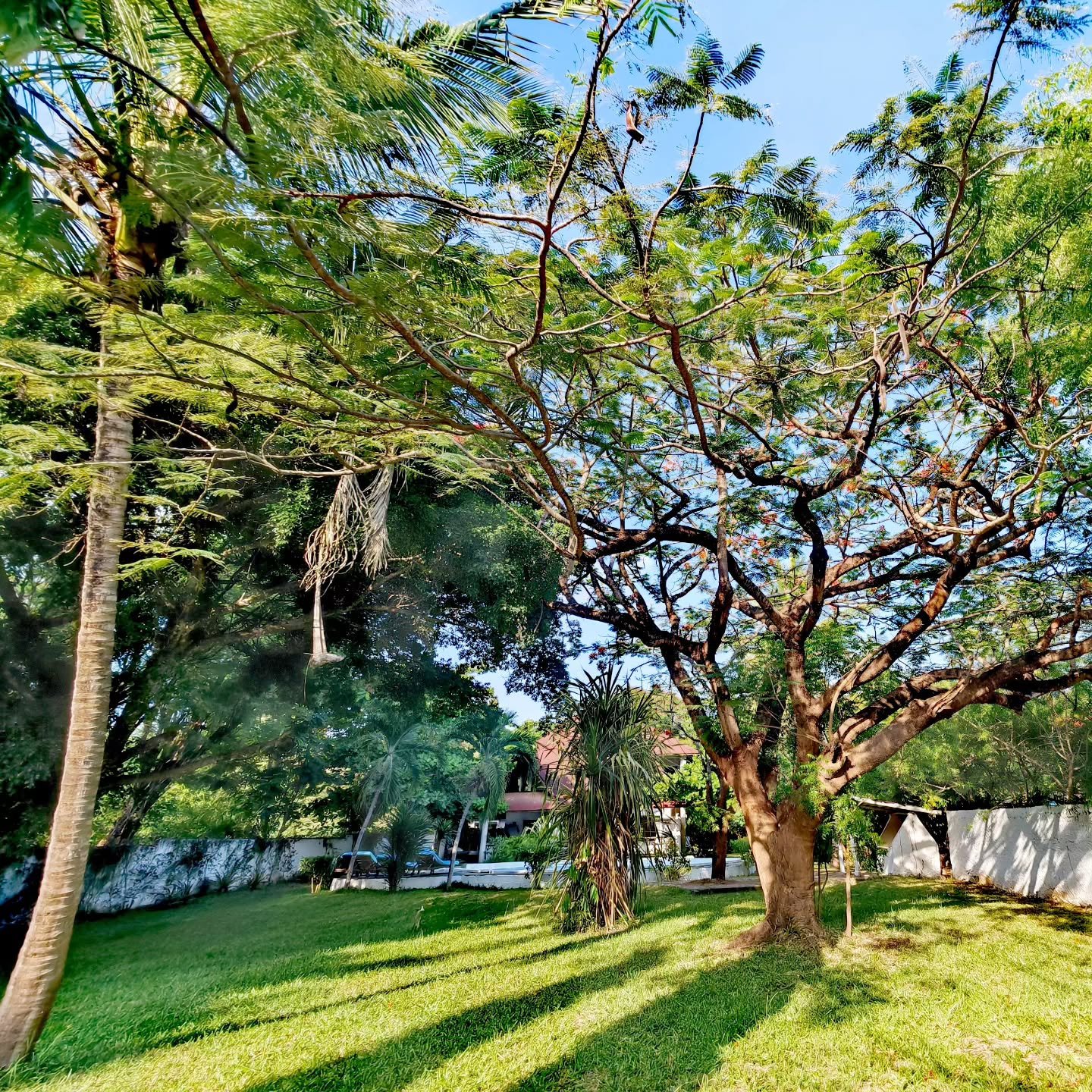 Suddenly we speak, we confide. Life blooms, 
nature is on our side

#speak
#confide
#blooms
#nature
#malaika