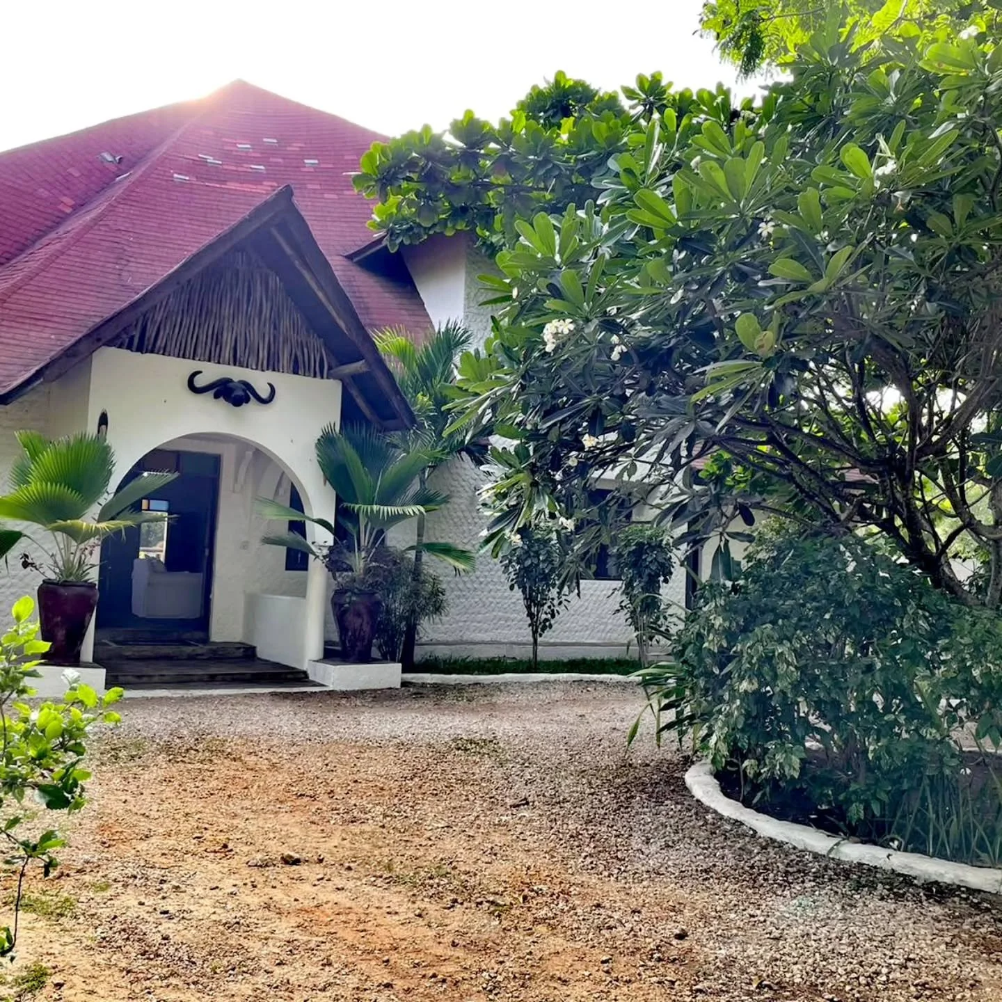 Eyes are thresholds. The gaze is music welcoming the soul

#eyes
#music
#welcoming
#soul
#malaika