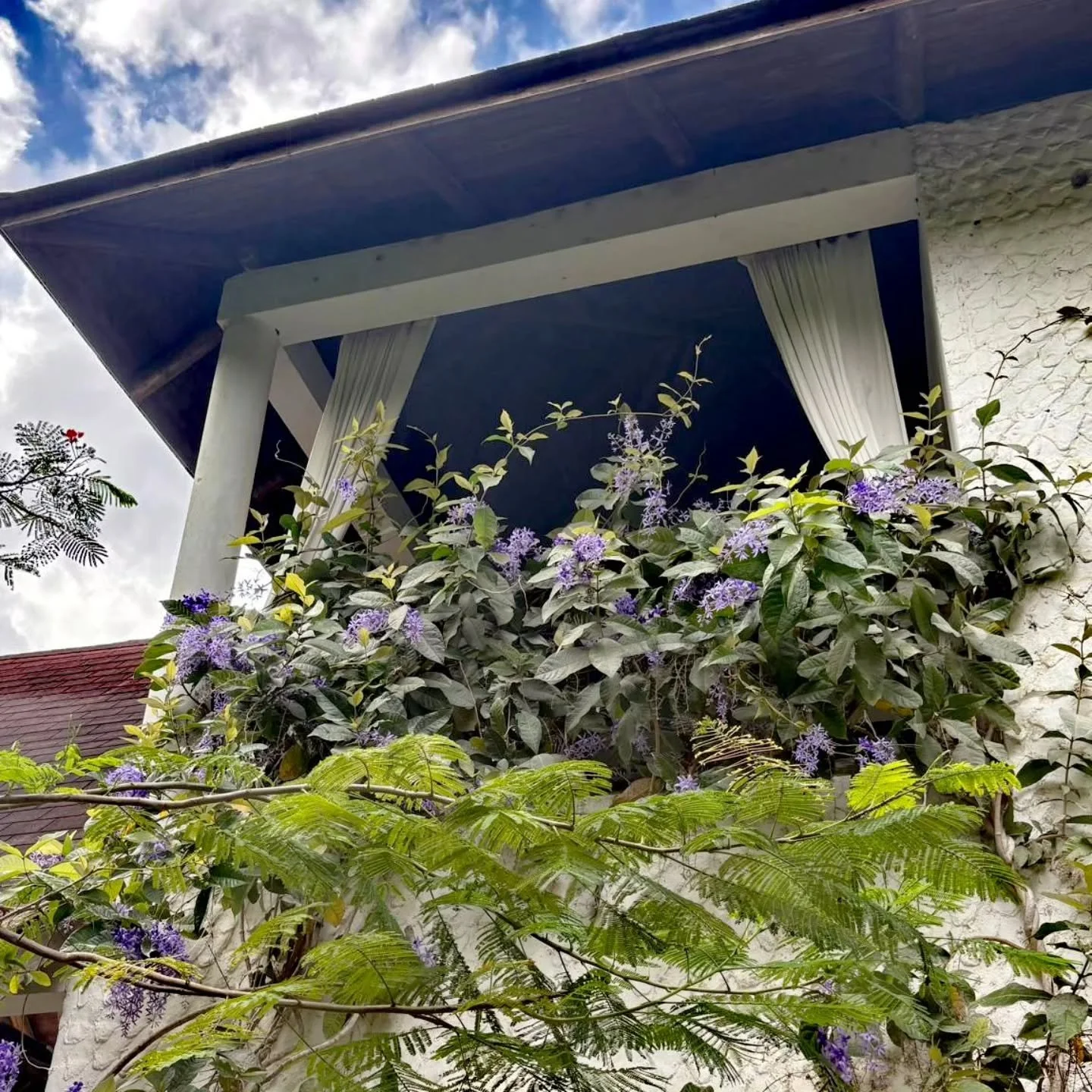 Living quietly, while time reminds us nothing is really ours

#livingquietly 
#time
#reminds
#nothing
#ours