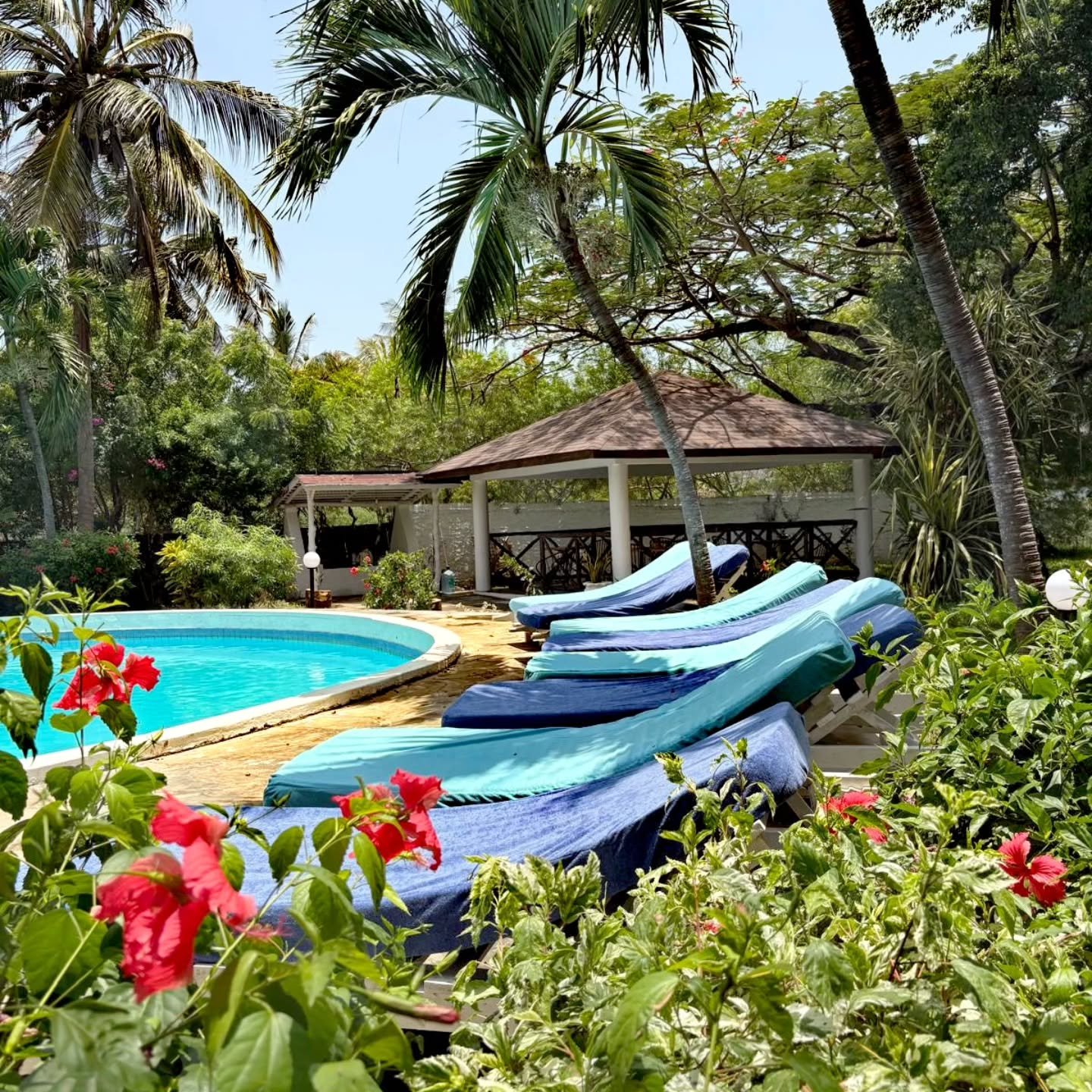 In the quiet of nature, forgiveness feels like freedom

#quiet
#nature 
#forgiveness 
#feelslike 
#freedom