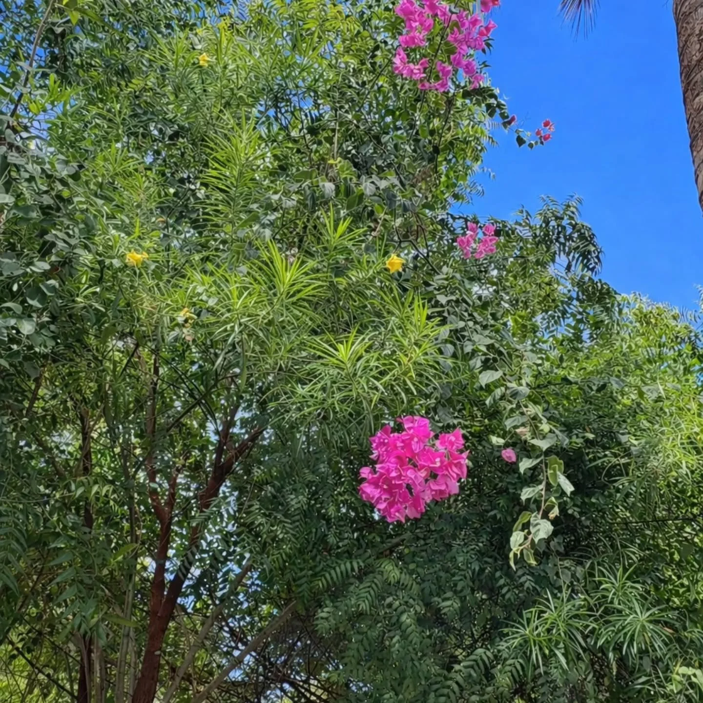 The sun rises, and something inside you quietly begins again

#sun
#rises
#inside
#quietly
#begins