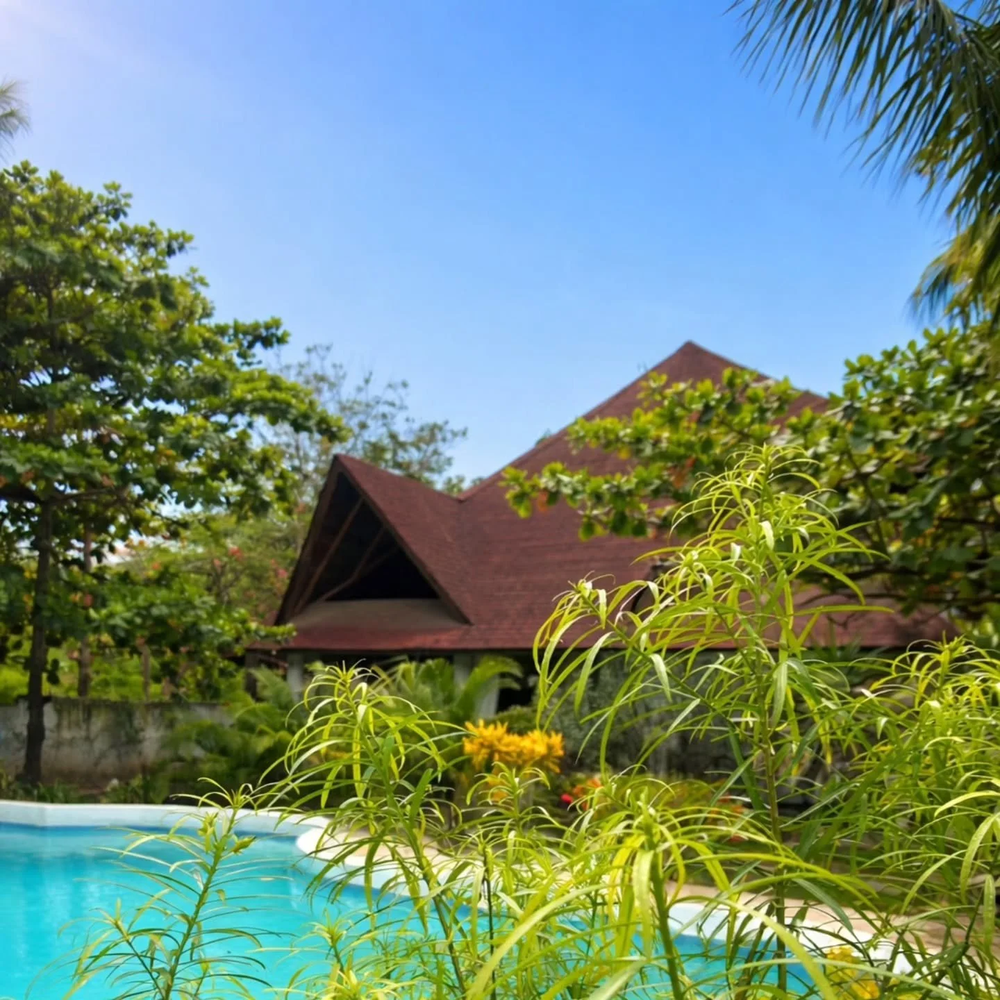 Walk your line, even where silence speaks louder than truth

#walk
#yourline
#silence
#speakslouder 
#thantruth