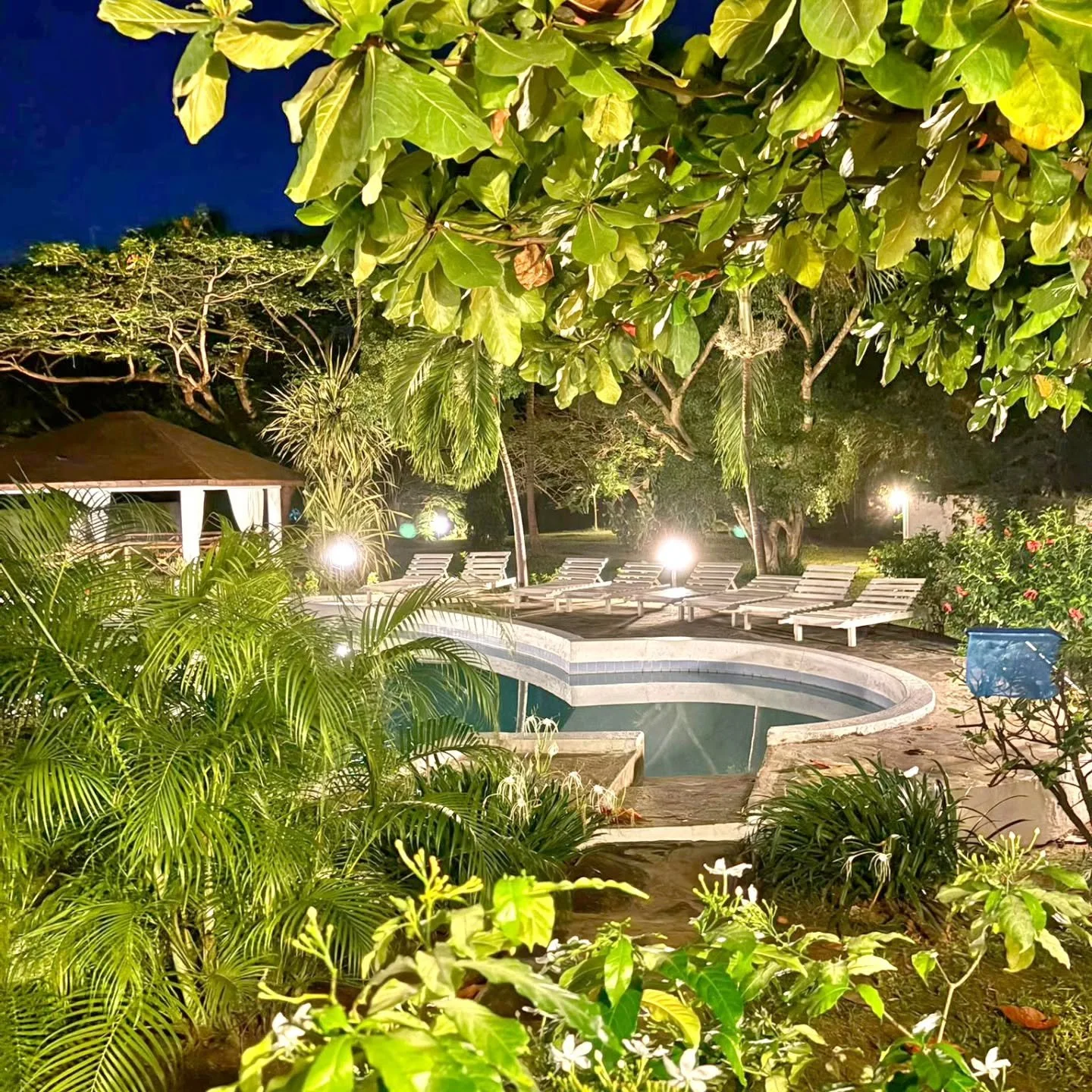 Feel the night, move with the rhythm, live it with soul

#feel
#night
#live
#with 
#soul