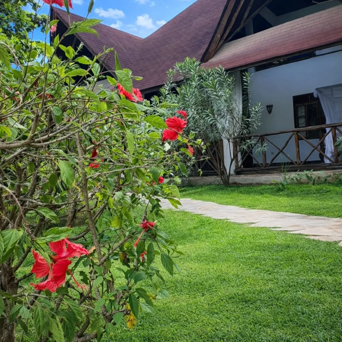 Not everything needs speed. Some places exist to remind you how to breathe again

#not
#needs 
#speed
#remind
#breathe