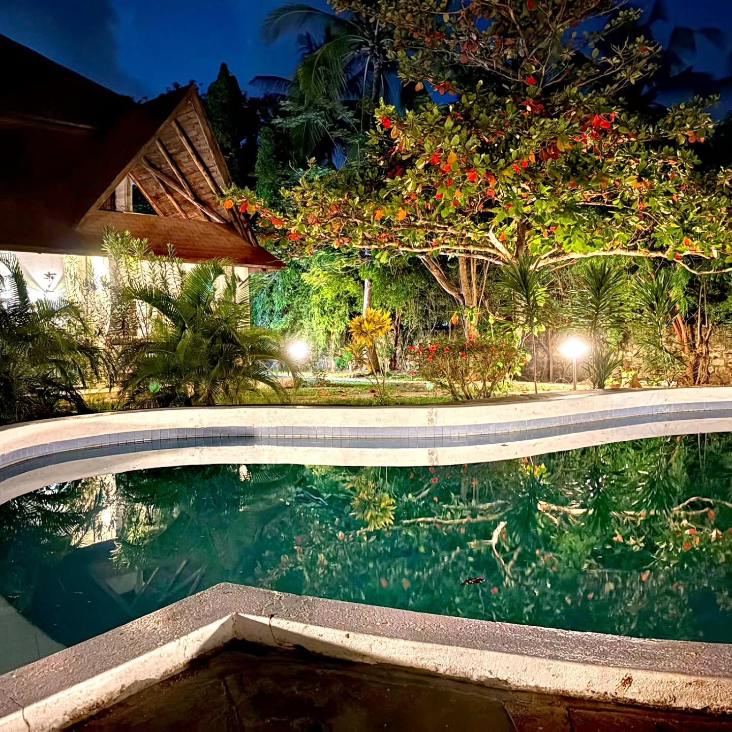 Between light and silence, you learn peace is a choice

#between
#lightandsilence
#learn
#peace 
#choice