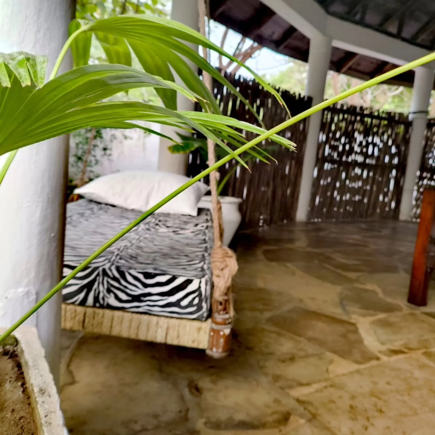 Soft steps, quiet corner. Time unfolds gently, one breath at a time

#soft
#steps
#one
#breath
#attime