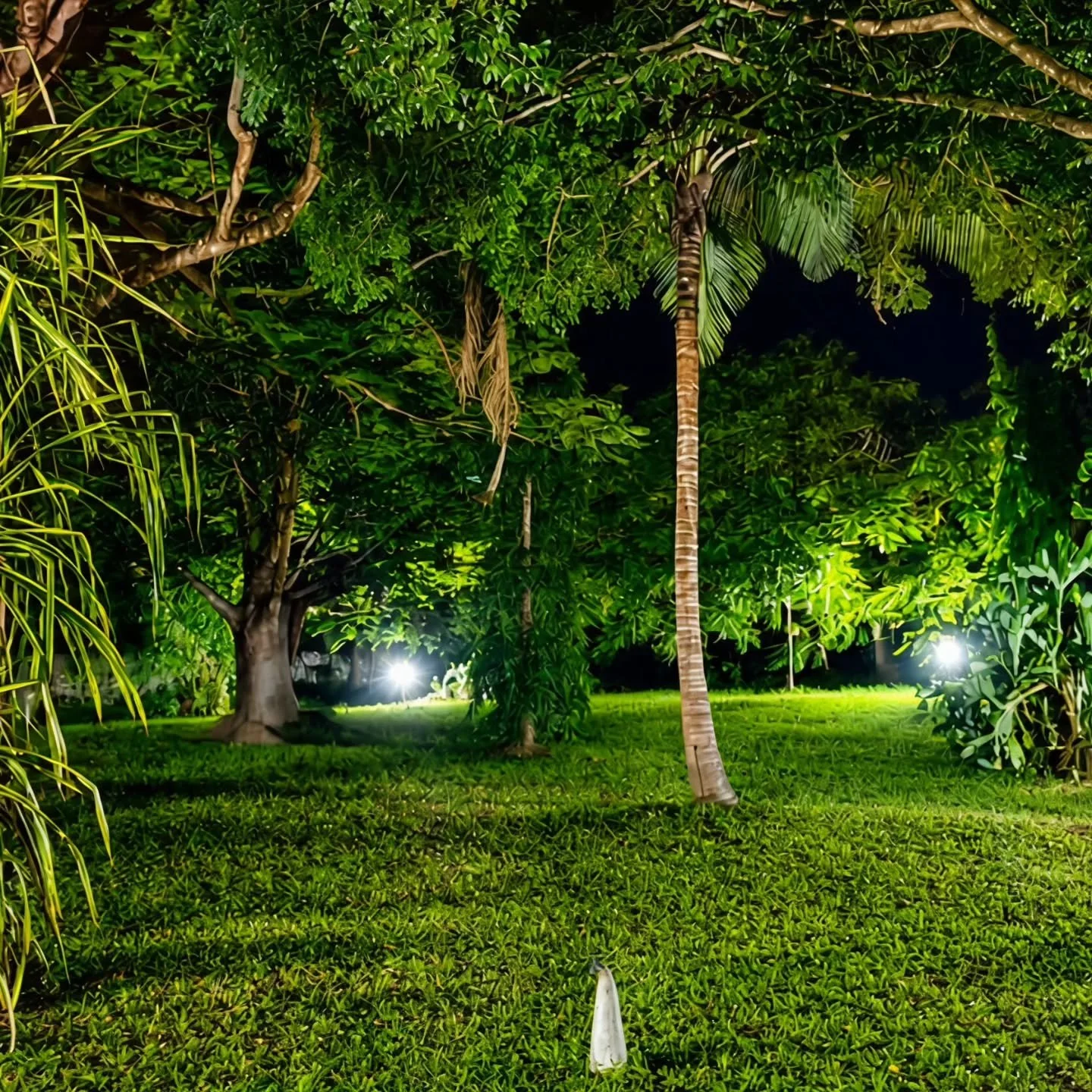 Some souls only find peace where the night lets silence speak first

#soul
#findpeace
#night
#speak
#first
