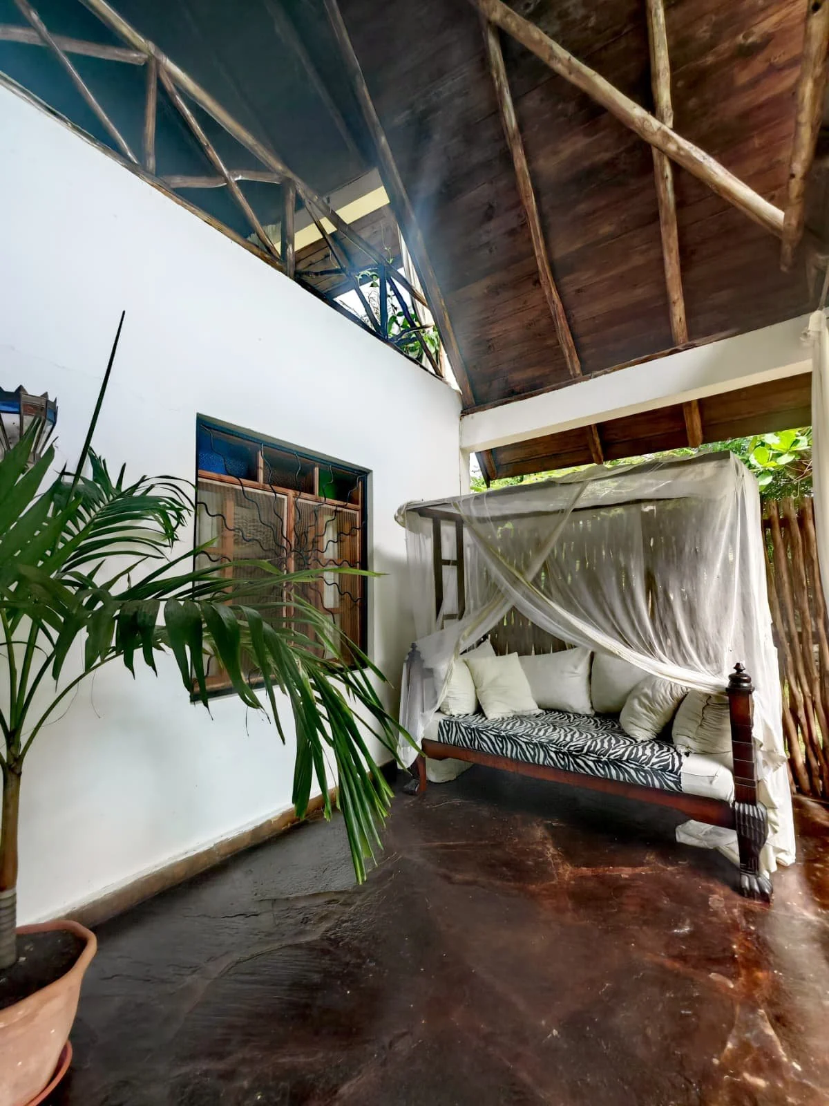 Immagine WhatsApp 2025-12-15 ore 14.55.13_0ac0f13c.jpg