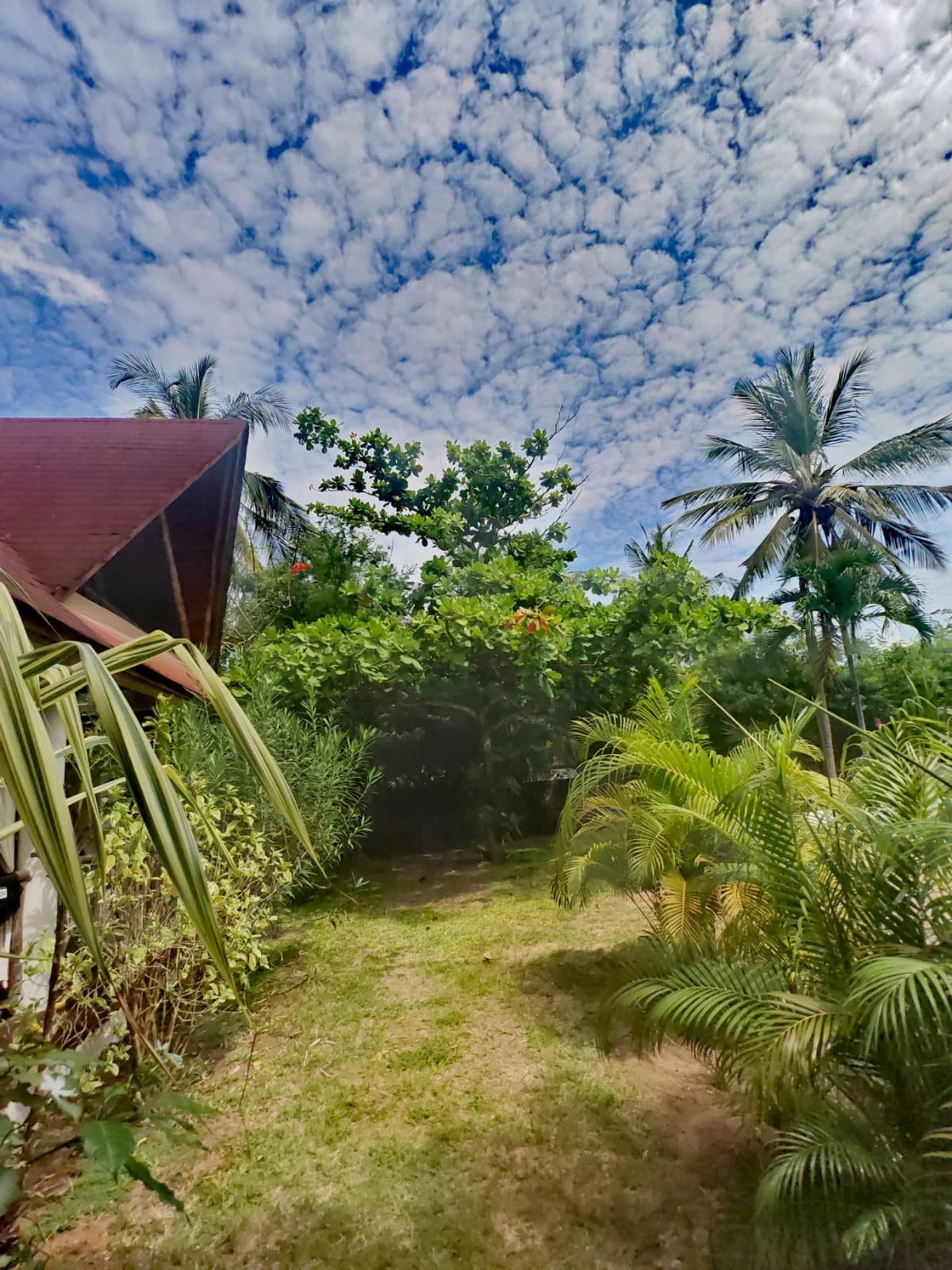 Immagine WhatsApp 2025-12-15 ore 14.55.11_d3942dc5.jpg