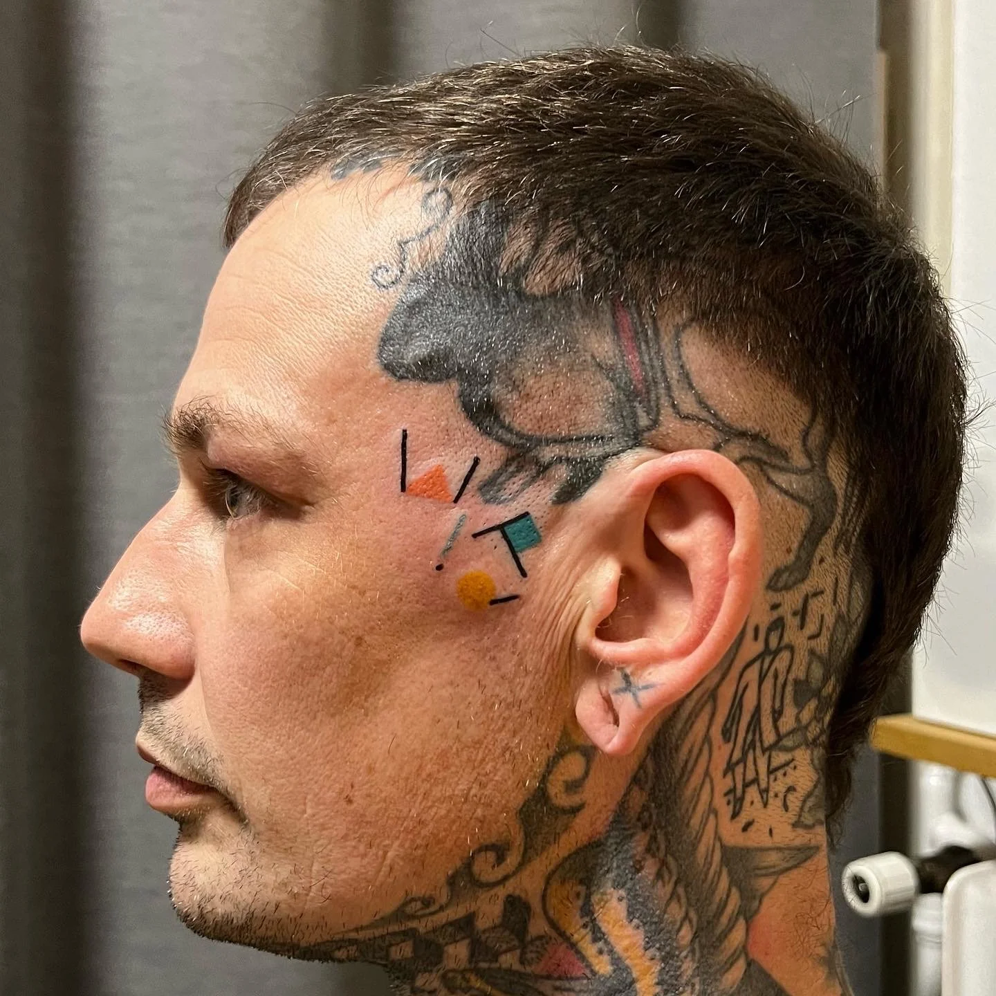 Side profile of a man with tattoos on his face, head, and neck, including a large animal tattoo on the scalp, and colorful geometric tattoos near his eye.