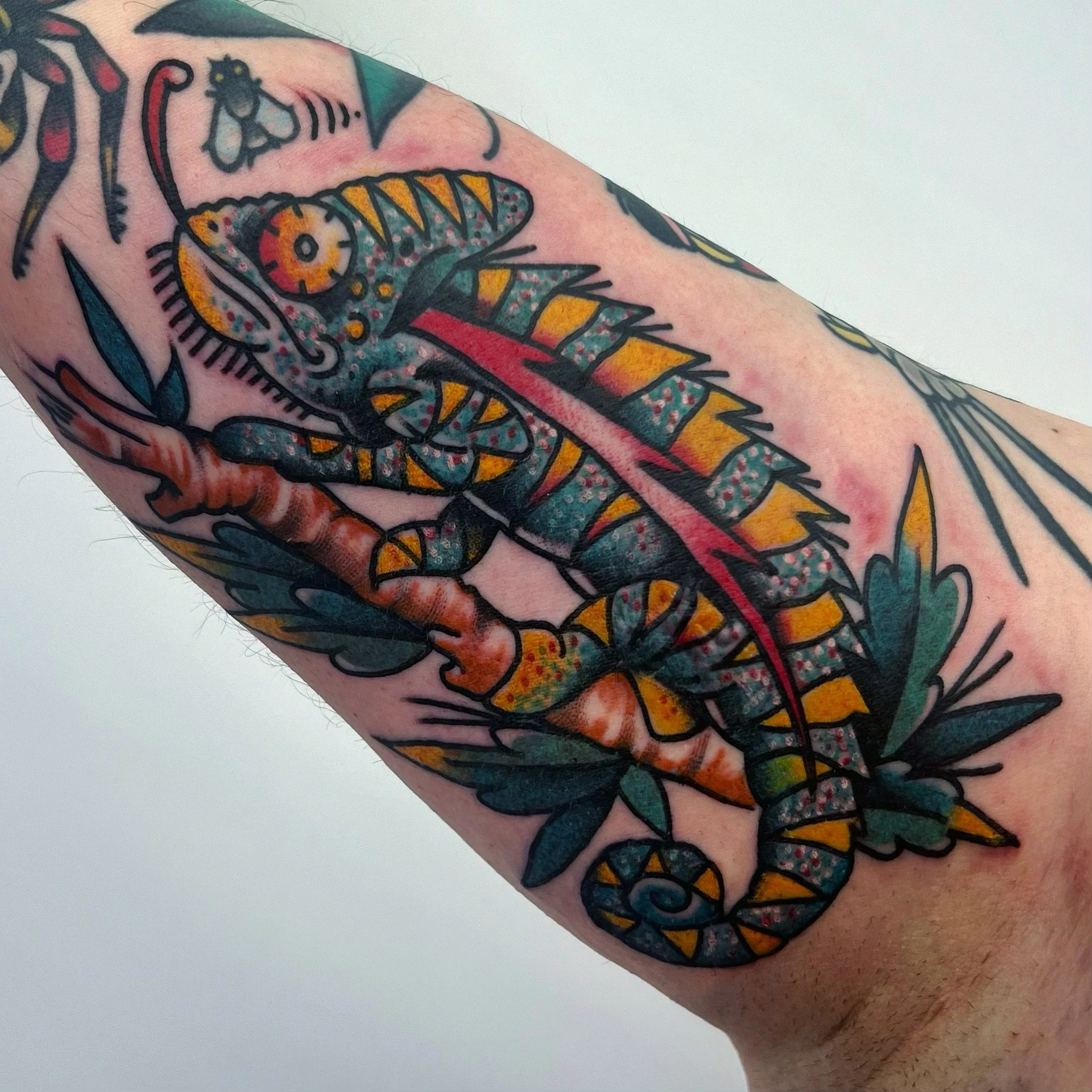 Colorful tattoo of a chameleon with detailed patterns and leaves on arm.