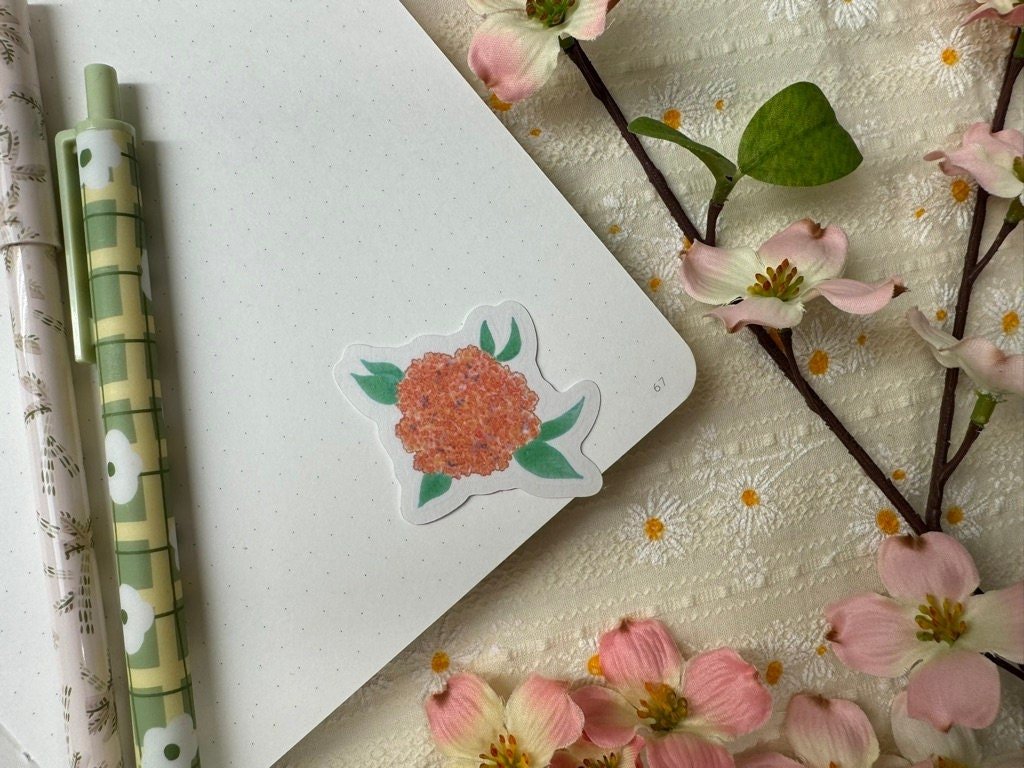 https://i.etsystatic.com/52839065/r/il/d805ed/6043860758/il_fullxfull.6043860758_71xr.jpg