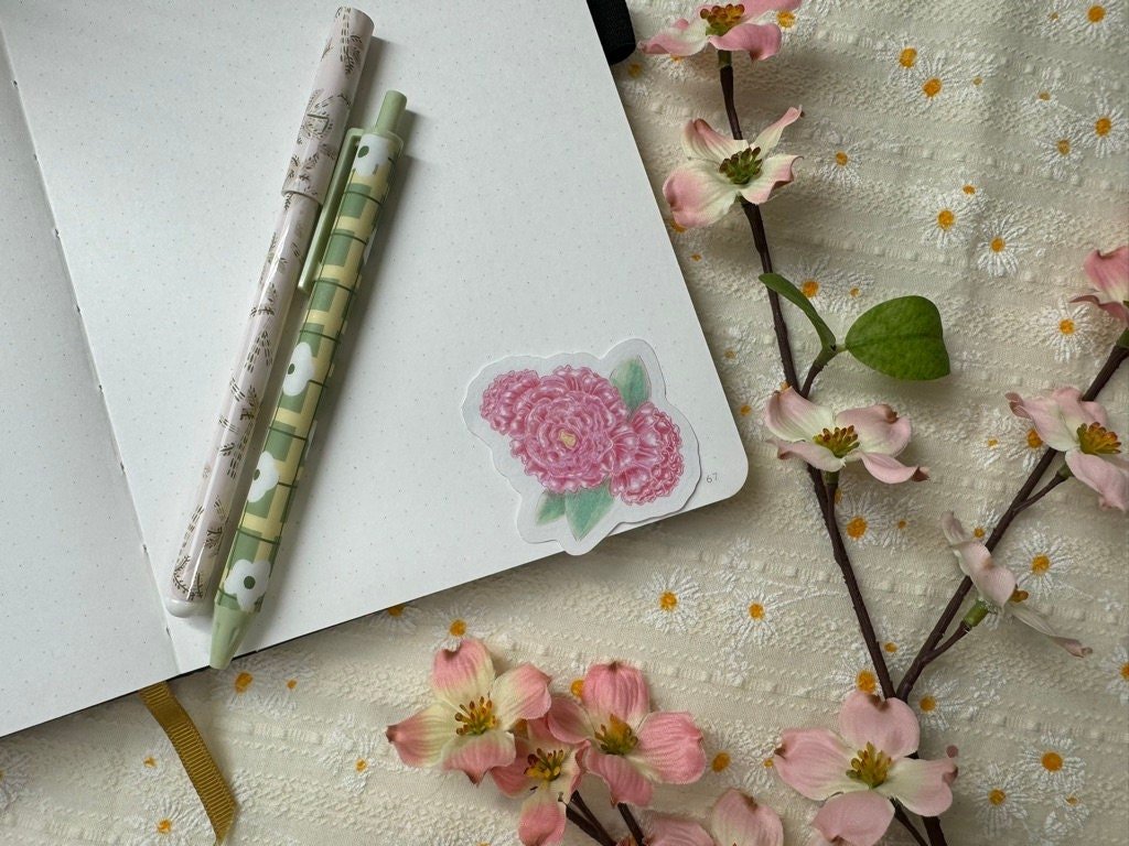 https://i.etsystatic.com/52839065/r/il/eb2d3a/6043841570/il_fullxfull.6043841570_n6mi.jpg
