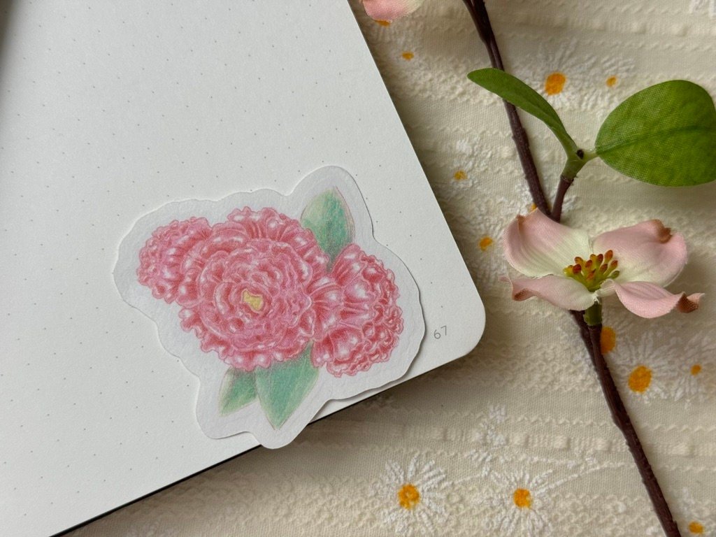 https://i.etsystatic.com/52839065/r/il/bbd67e/6043836836/il_fullxfull.6043836836_8l0i.jpg