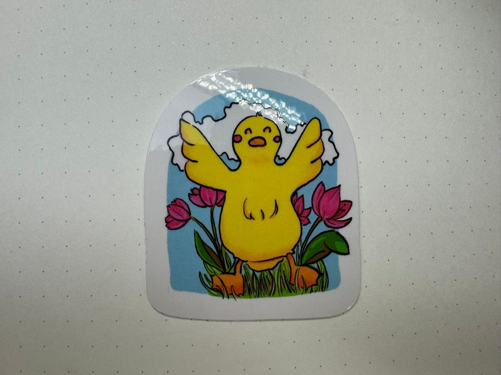 https://i.etsystatic.com/52839065/r/il/d61e1c/6091796793/il_fullxfull.6091796793_ju6u.jpg