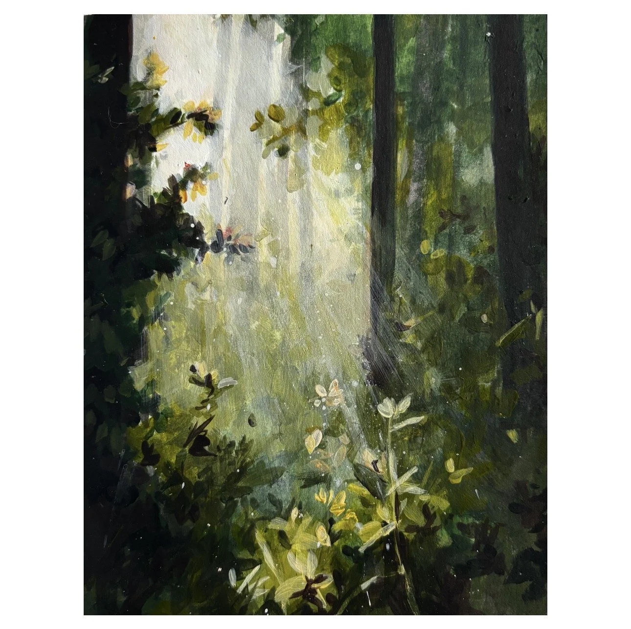 Study 4