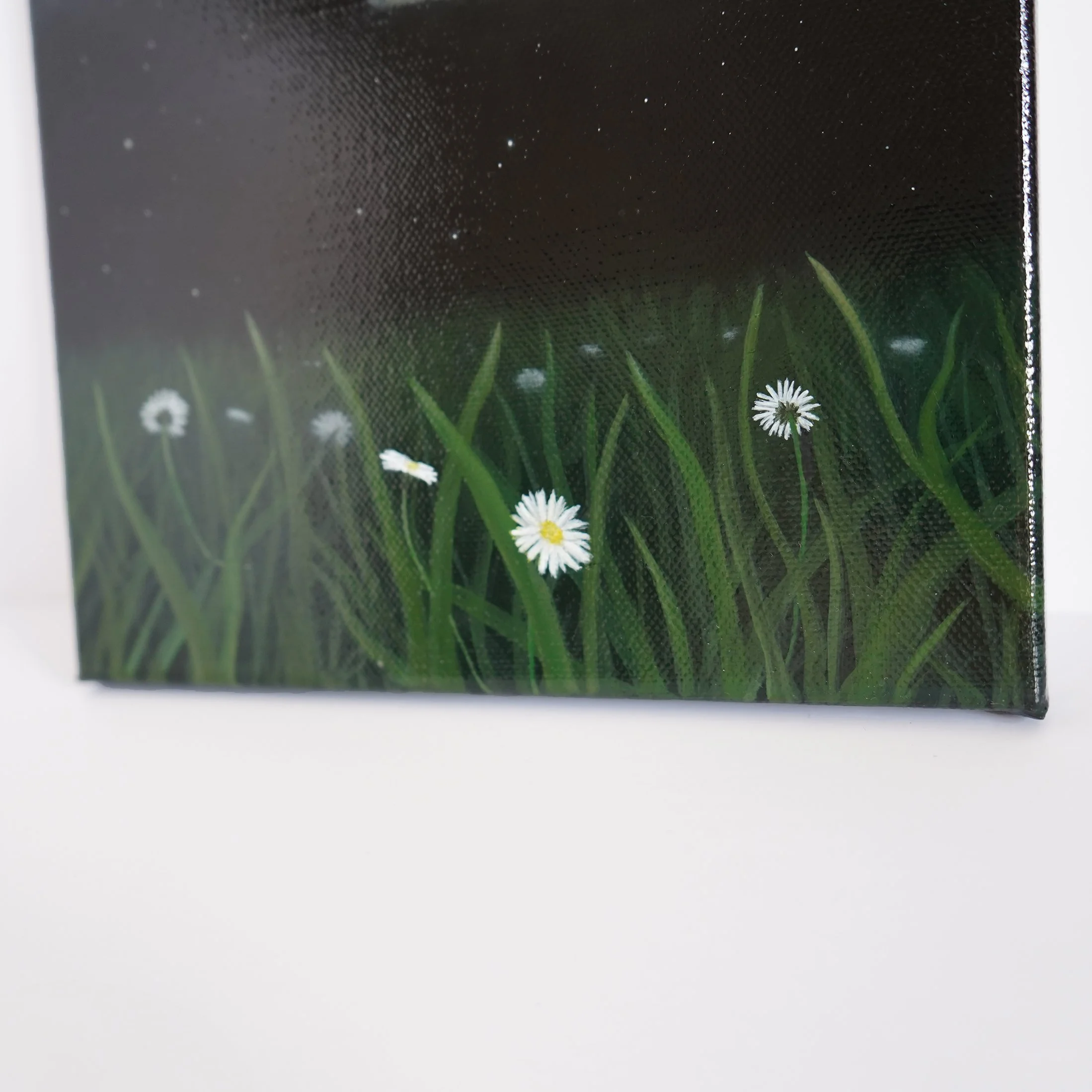 Daisy Field.bottomhalf.square.jpg