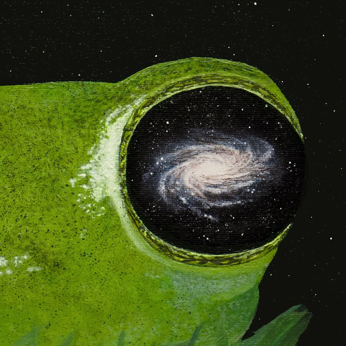 frog galaxy eye close up.jpg