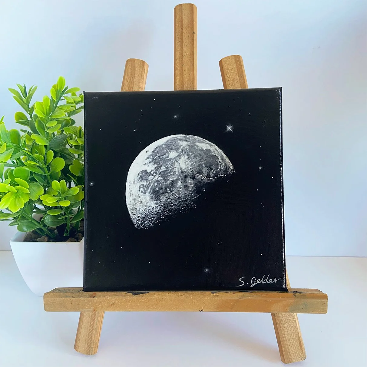 MY MOON front shot.40.square.jpg