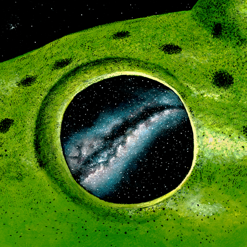 Frog%2Bpainting_low%2Bres%2B25%2525.png