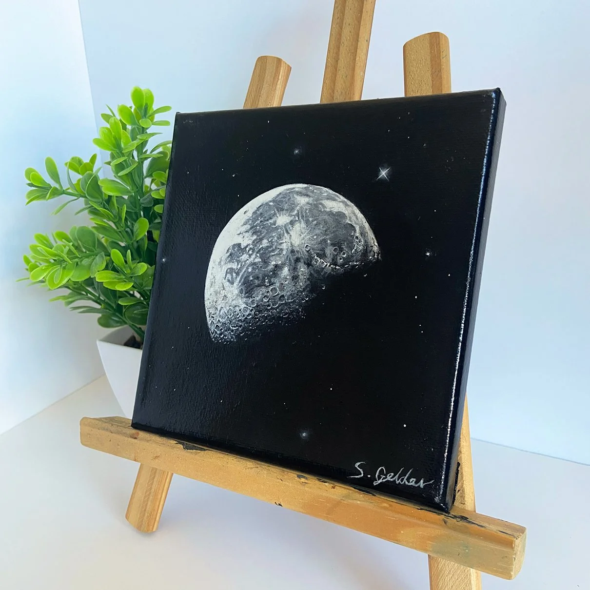 MY MOON side shot.40.square.jpg