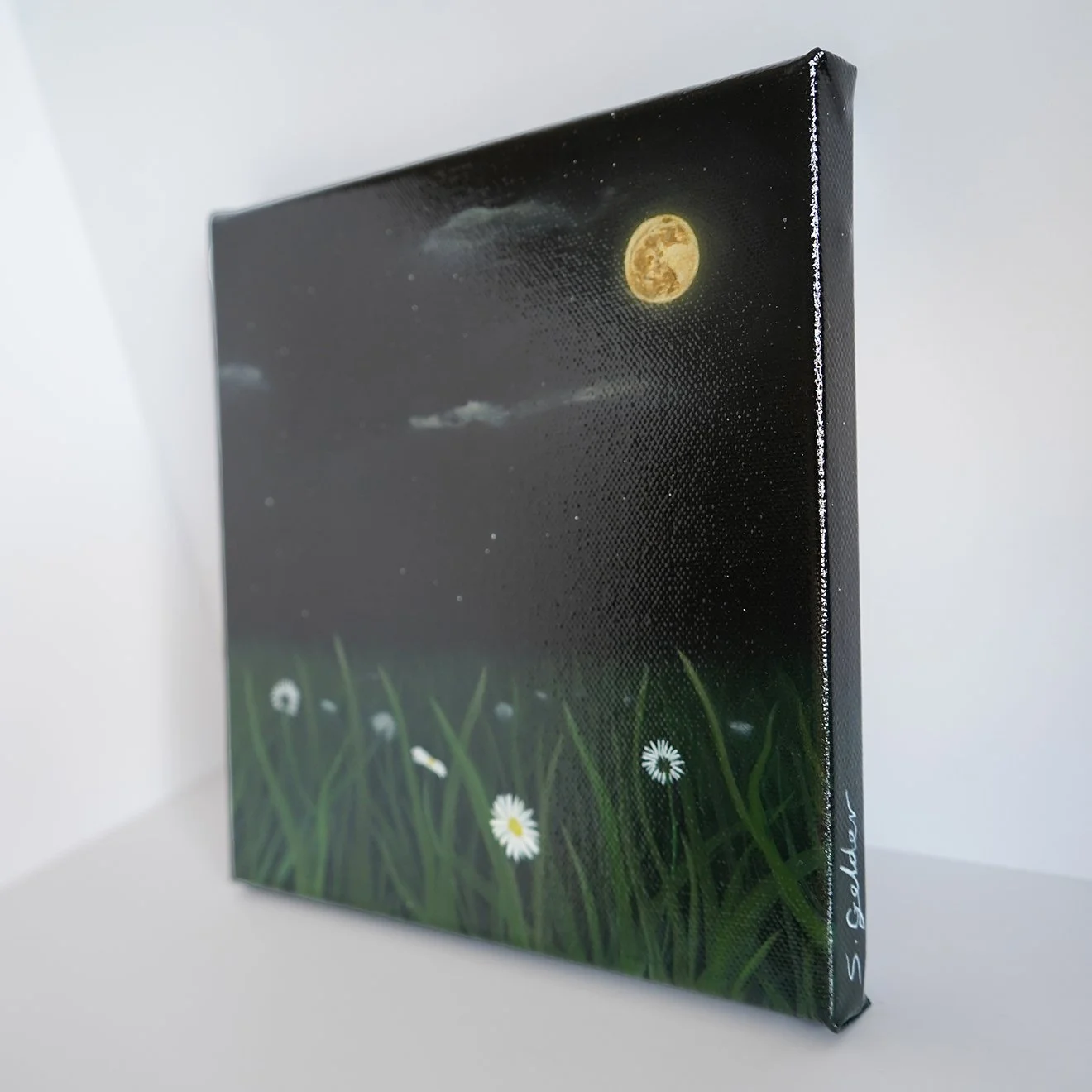 Daisy Field.side view.jpg