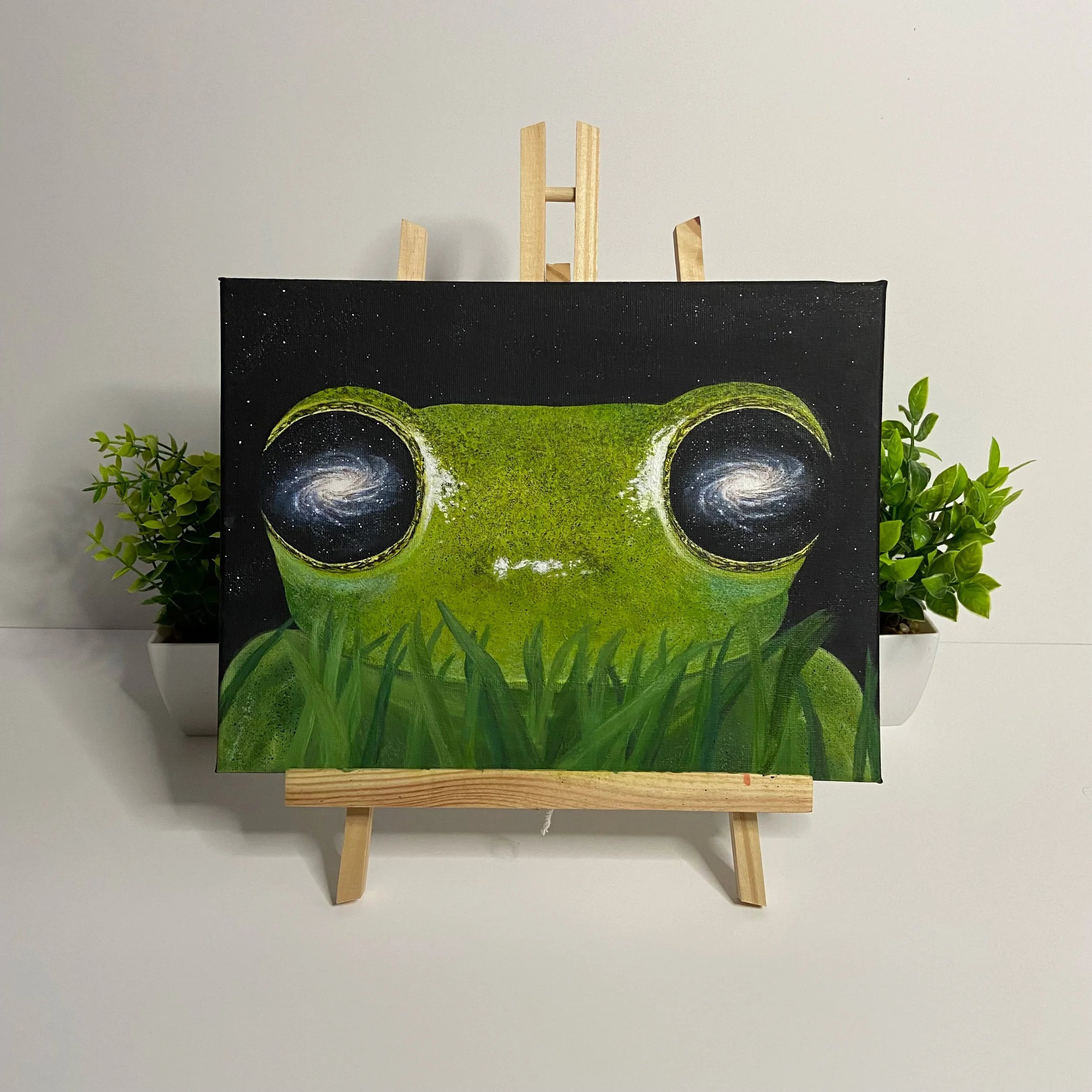 galaxy eyed frog front view.jpg