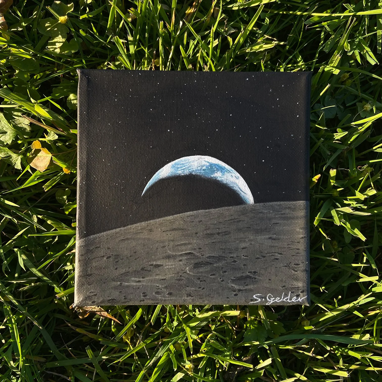 earthset front view.50.square.jpg