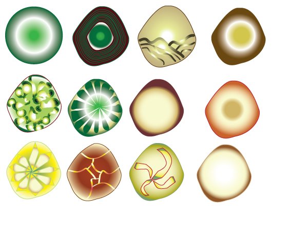 The Notational System of Symbols