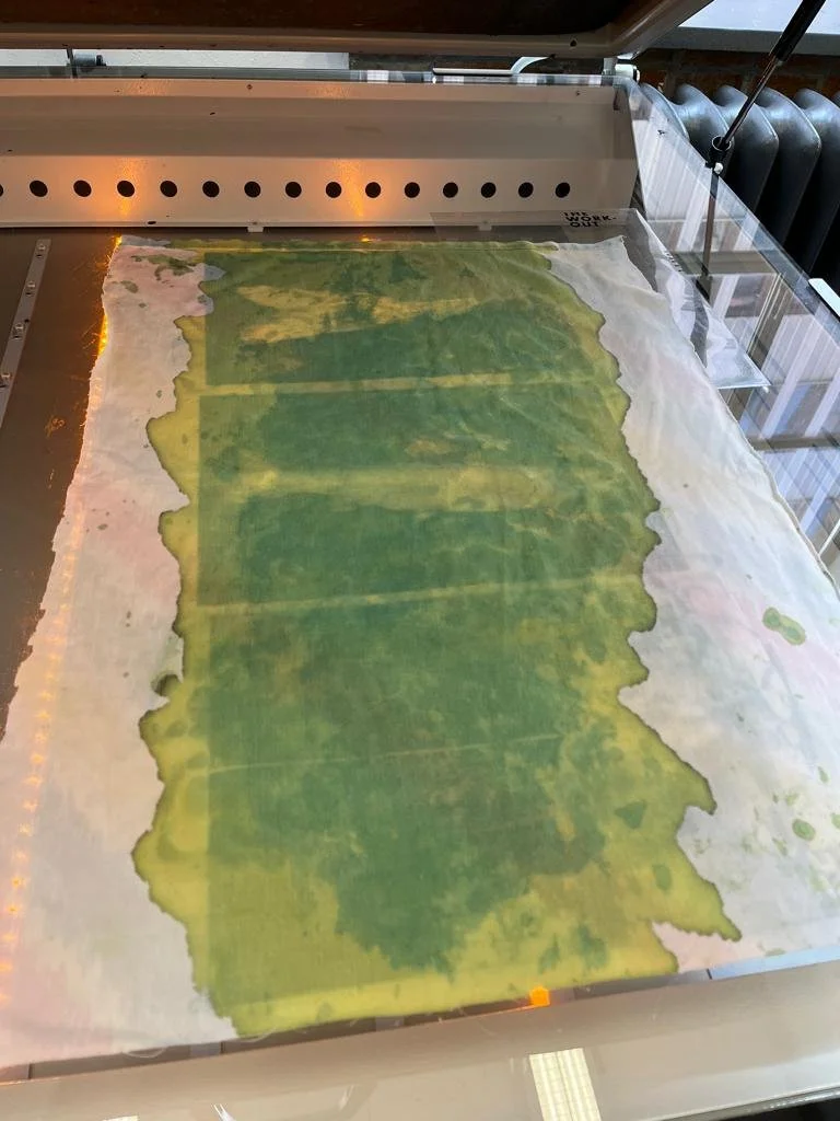 Exposing the cyanotype