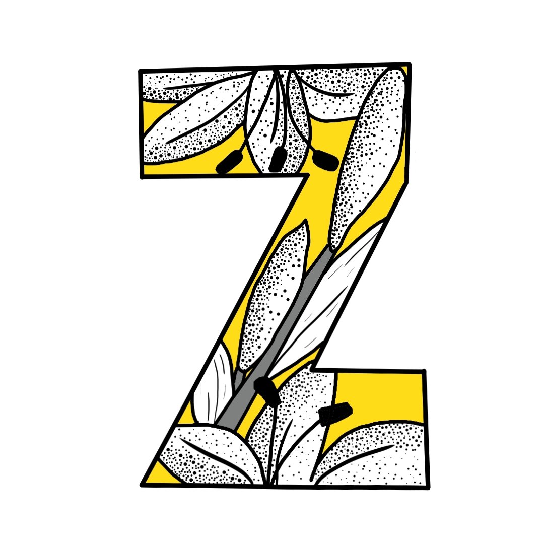 Z