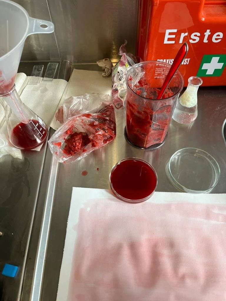 Trying to make alternative of a cynotype with beetroot