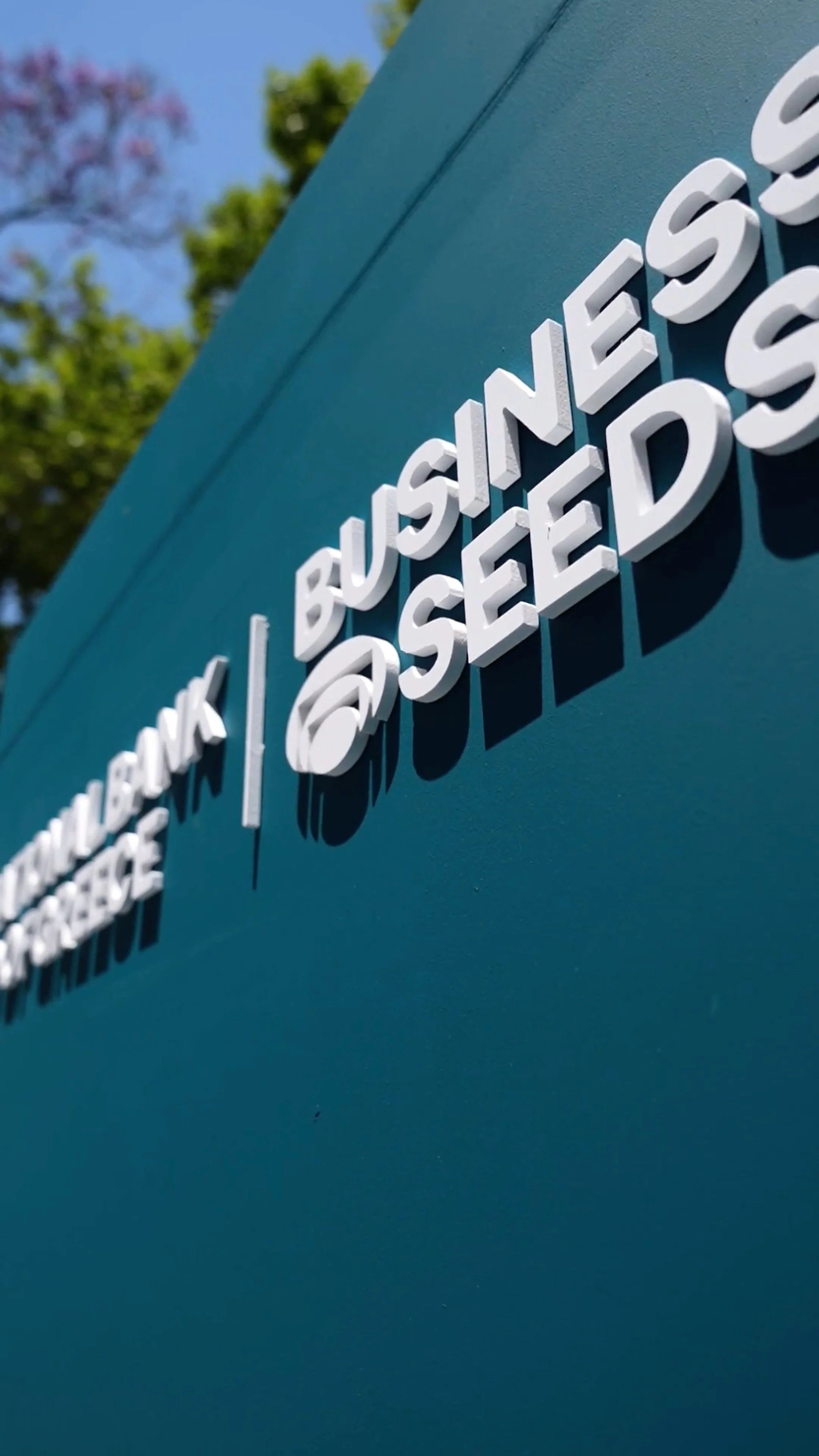 03-business-seeds-detail-4k.jpg