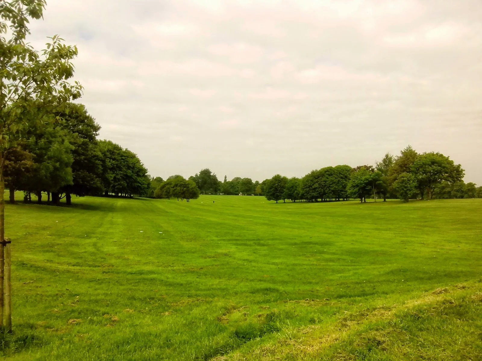 Picnic at the Racecourse