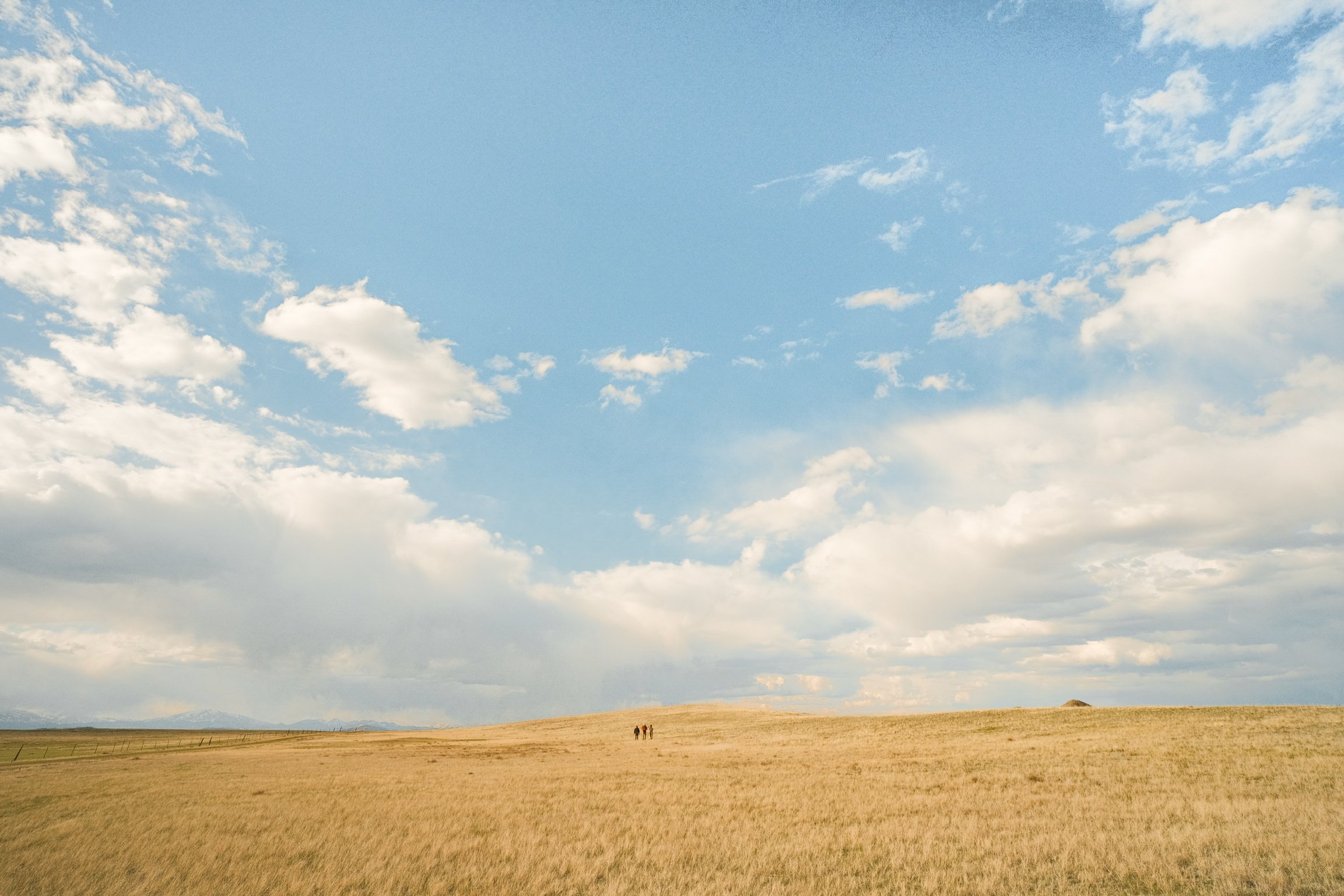 Art in the Wild Re-edits-15.jpg