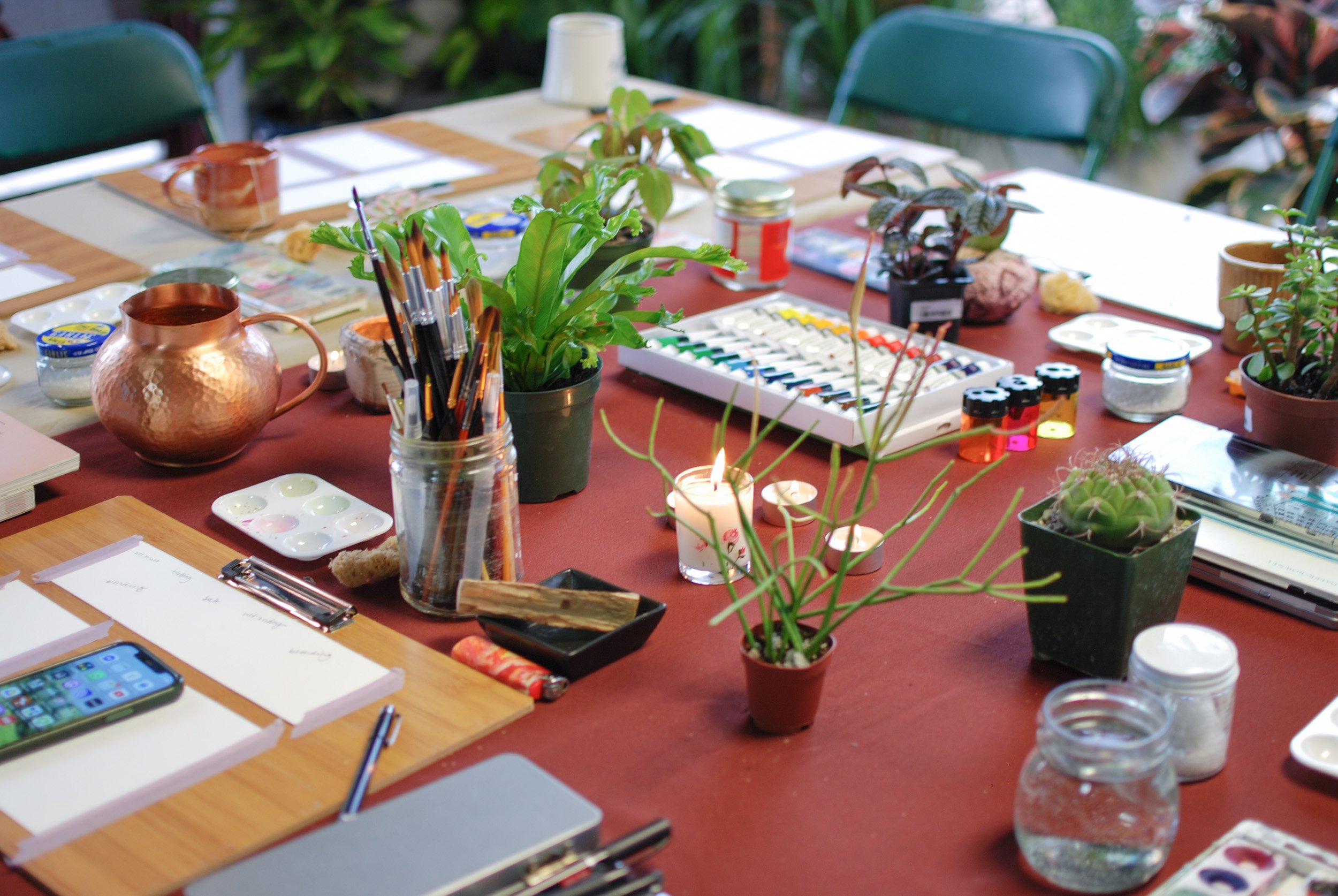 plante march 2025-14.jpg